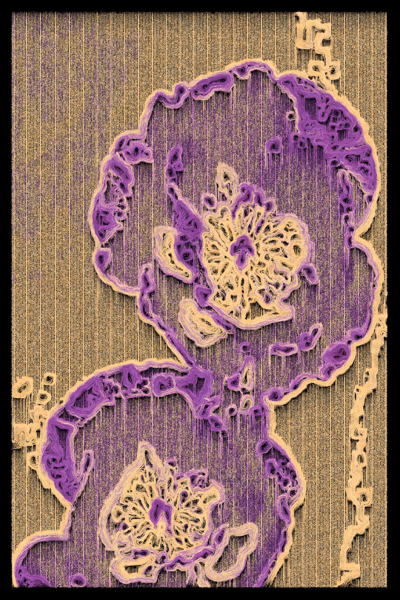 This series begins with AI-generated images of nature, flowers, textures, and familiar scenes, then breaks them down using computer vision to map how the image flows. I redraw each piece line by line, following directional vectors, and limit the palette to just a few tones. The result blends structured geometry with organic motion, revealing depth through contrast and line. It’s a way of reinterpreting the familiar—seeing not what something is, but how it moves, how it feels, and how perception itself can shift.