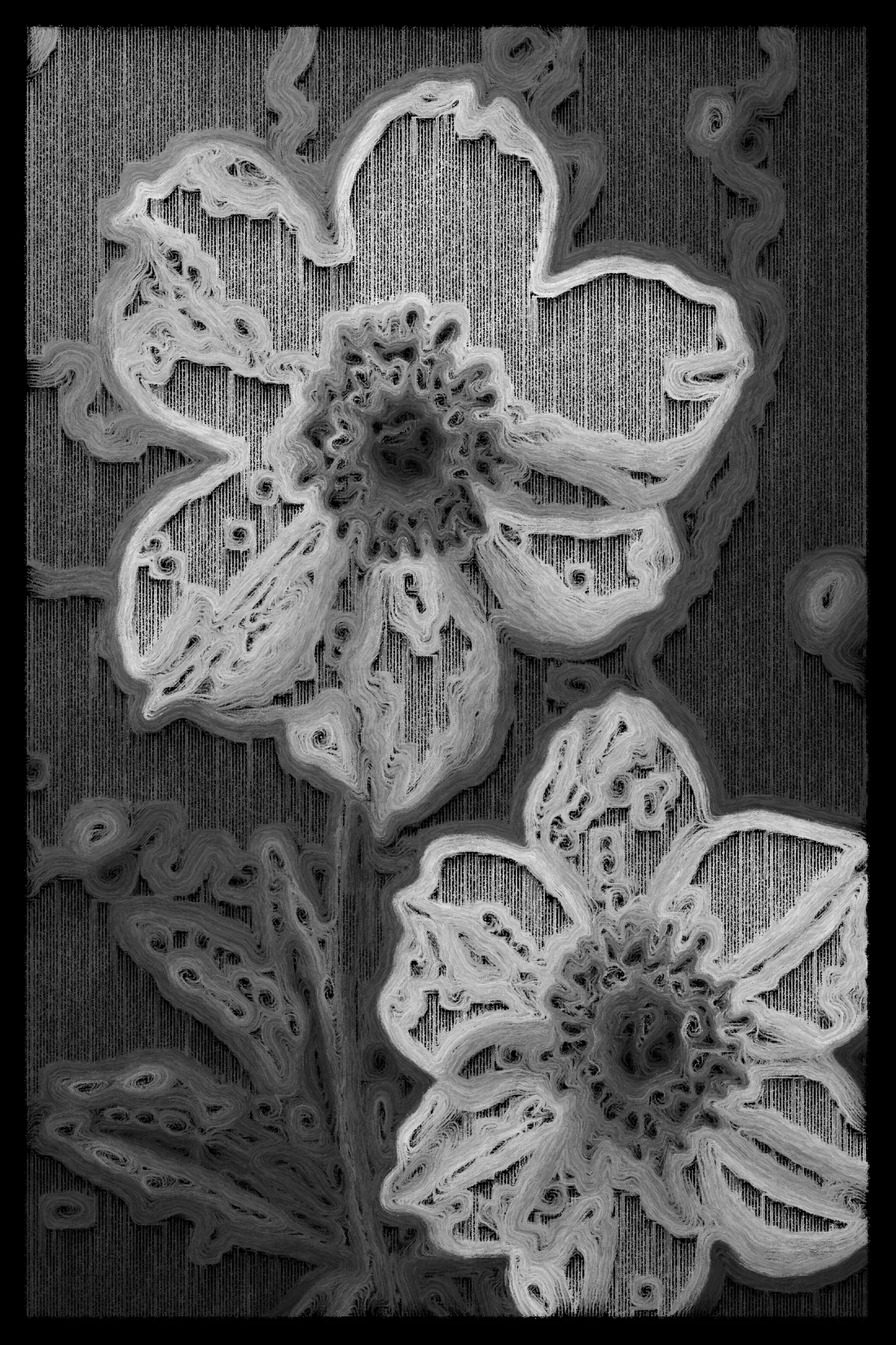 This series begins with AI-generated images of nature, flowers, textures, and familiar scenes, then breaks them down using computer vision to map how the image flows. I redraw each piece line by line, following directional vectors, and limit the palette to just a few tones. The result blends structured geometry with organic motion, revealing depth through contrast and line. It’s a way of reinterpreting the familiar—seeing not what something is, but how it moves, how it feels, and how perception itself can shift.