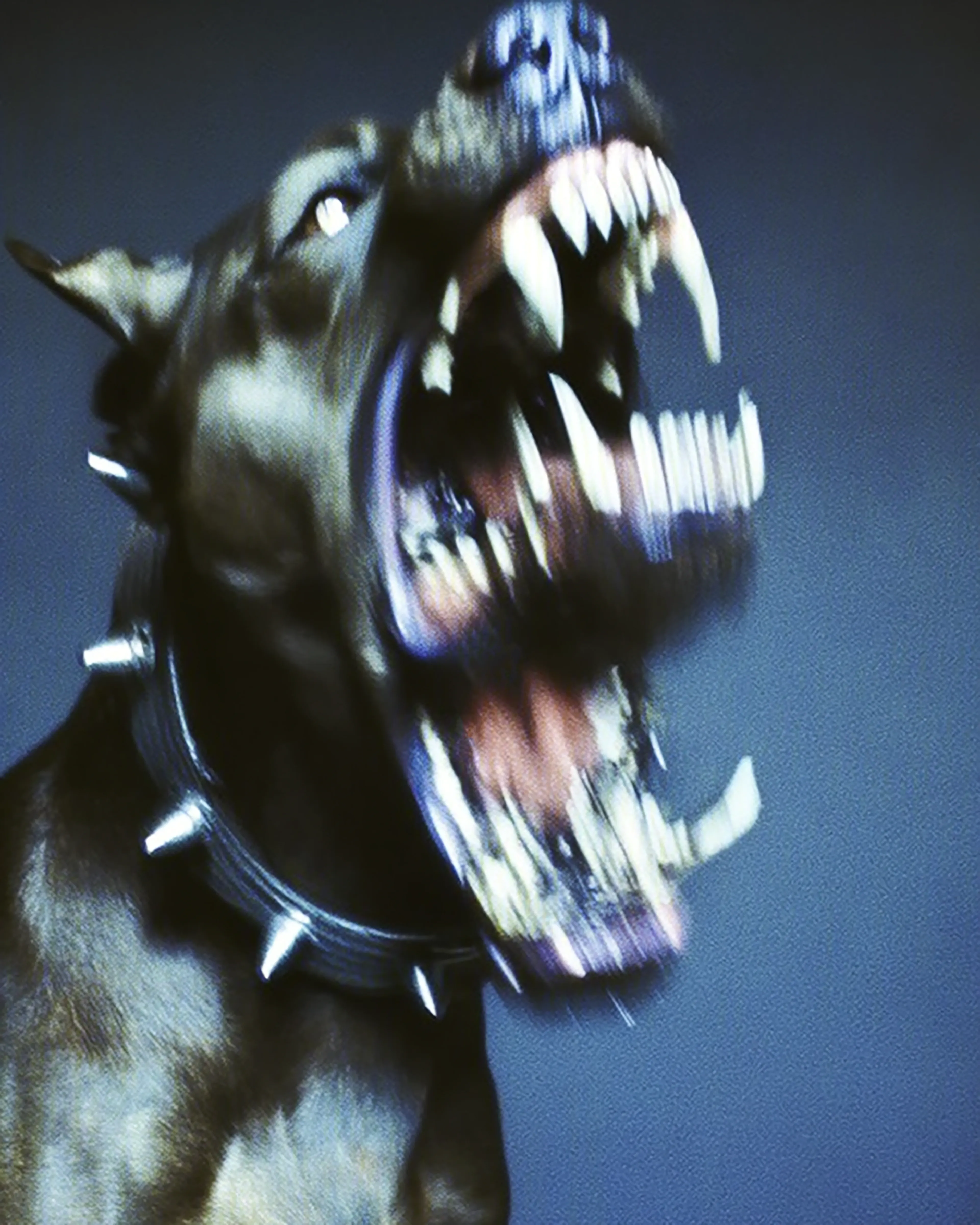 The dog barks at the sky in blind rage.