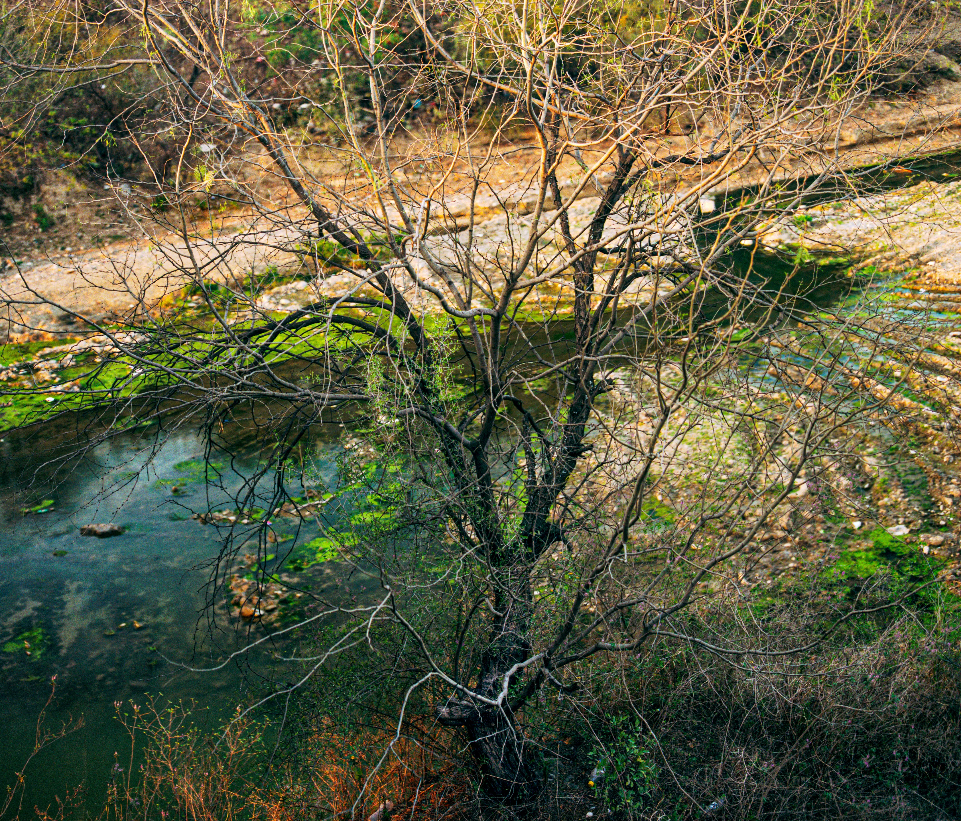 State of Nuevo León, Mexico, 2005-2010. This image is part of a 5-year project called Suburbia Mexicana. I wanted to document some of the unintended consequences of the housing bubble many cities in Mexico were going through. I was also very interested in the aesthetic questions posed by using ultra beautiful landscape imagery to represent ecological degradation. It is a nod to the romantic use of tragedy in paintings; a visual exploration of the grandeur of disaster as a way to comment on the other side of Mexico’s copy pasted ideals of homeownership.