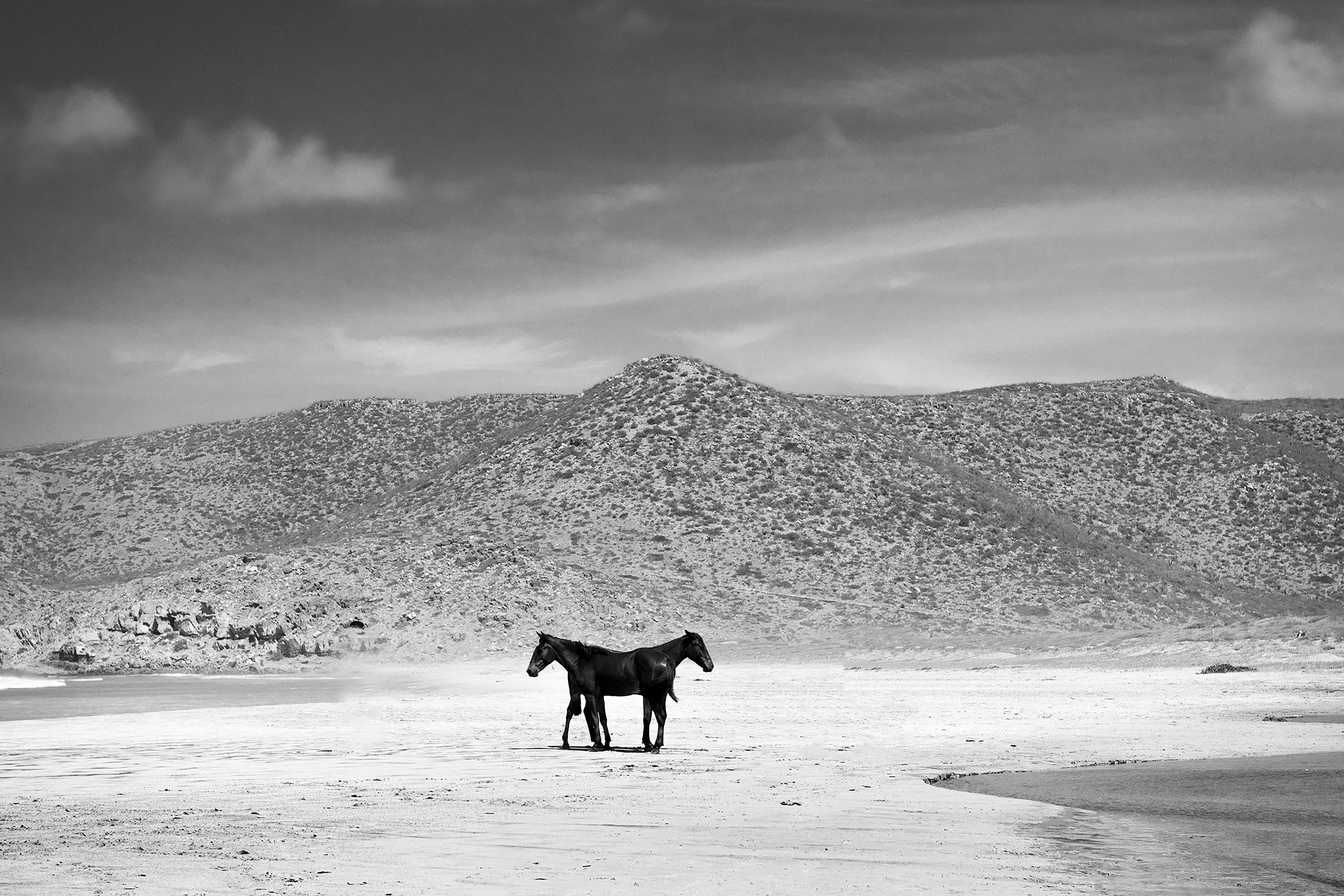 Woody Gooch’s 7 Atmospheres transports viewers through a dreamscape of raging oceans, contemplative landscapes and cosmic theatre. Often featuring friends and locals engaged in a dance with Mother Earth, the collection of 100 works reads like a poetic journey across Morocco, Indonesia, Mexico, New Zealand, Japan, Australia and the United States. Coming from a deeply personal reverence for the beauty and diversity of the natural world, 7 Atmospheres is equal parts travel journal, daydream and meditation. This is Woody’s genesis NFT collection, co-curated by Barry Sutton for 96 Studio.