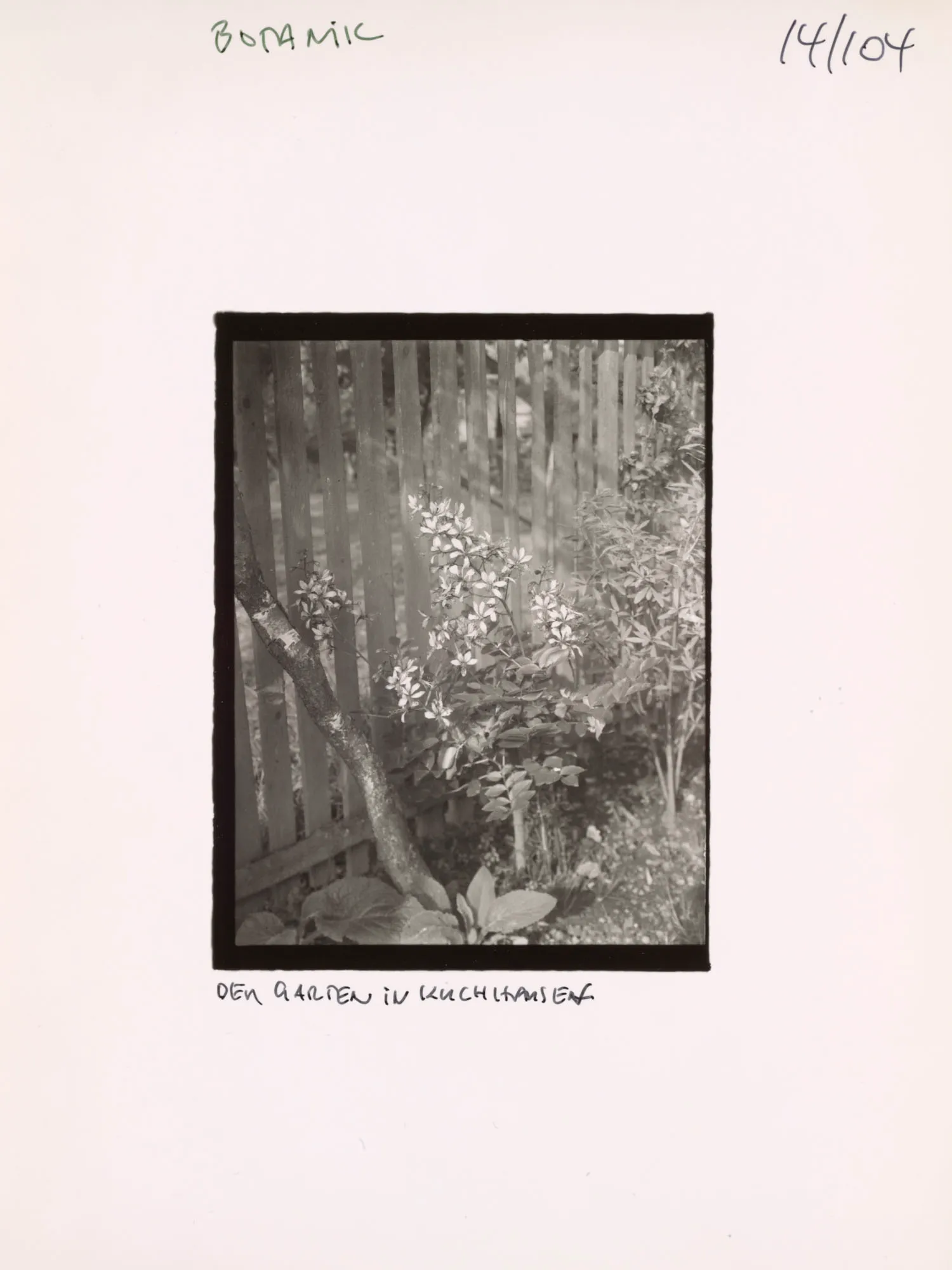 An NFT from the AS10k+ Project, launched to bring the historical archive of August Sander to the Digital World. Each NFT represents ownership of the physical contact print made by Gerd Sander in 1988/89 and depicted by the image as well as access to the August Sander Research Database where the historical legacy of the Sander Family Estate will become publicly available for research. Ownership of the physical contact sheet is determined by the wallet in which the NFT is owned, regardless of wether the contact print has been redeemed or not.