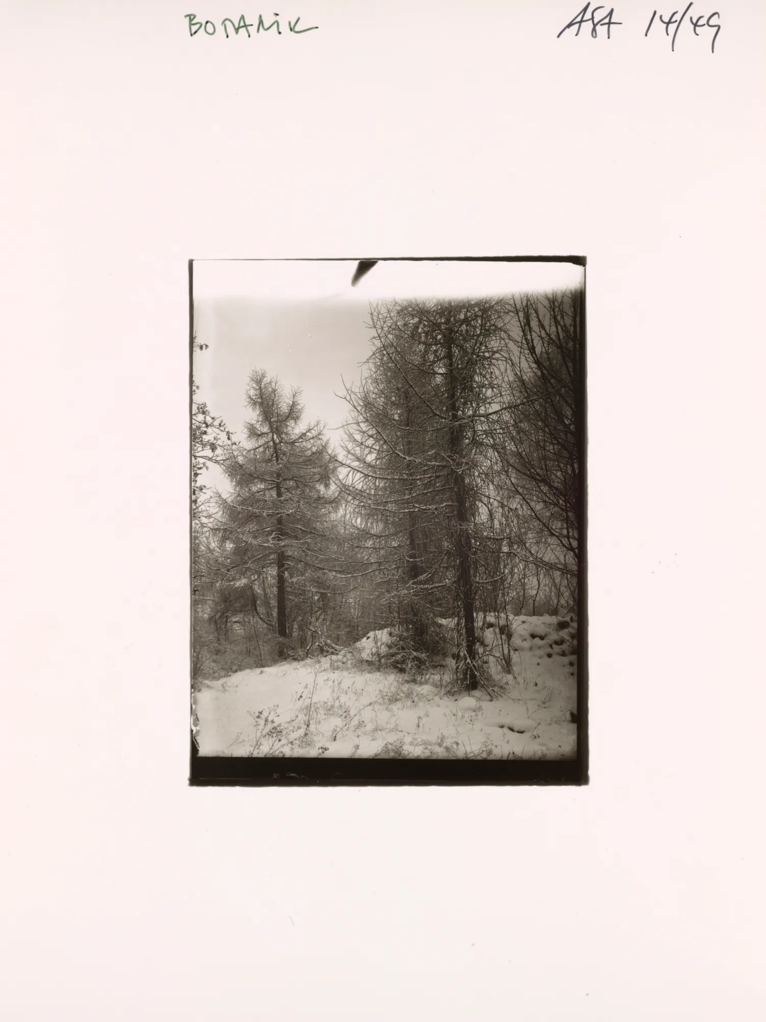 An NFT from the AS10k+ Project, launched to bring the historical archive of August Sander to the Digital World. Each NFT represents ownership of the physical contact print made by Gerd Sander in 1988/89 and depicted by the image as well as access to the August Sander Research Database where the historical legacy of the Sander Family Estate will become publicly available for research. Ownership of the physical contact sheet is determined by the wallet in which the NFT is owned, regardless of wether the contact print has been redeemed or not.