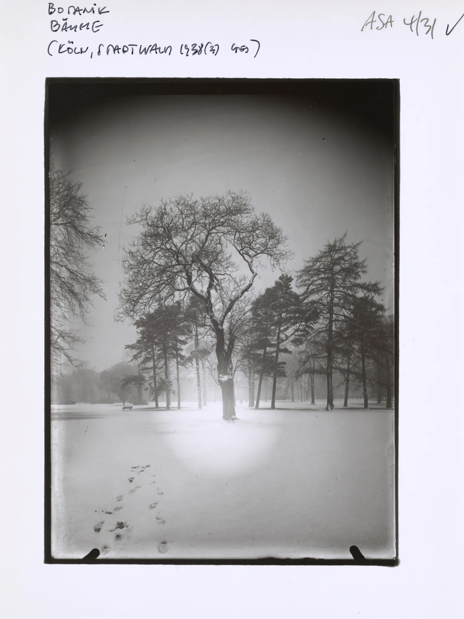 An NFT from the AS10k+ Project, launched to bring the historical archive of August Sander to the Digital World. Each NFT represents ownership of the physical contact print made by Gerd Sander in 1988/89 and depicted by the image as well as access to the August Sander Research Database where the historical legacy of the Sander Family Estate will become publicly available for research. Ownership of the physical contact sheet is determined by the wallet in which the NFT is owned, regardless of wether the contact print has been redeemed or not.