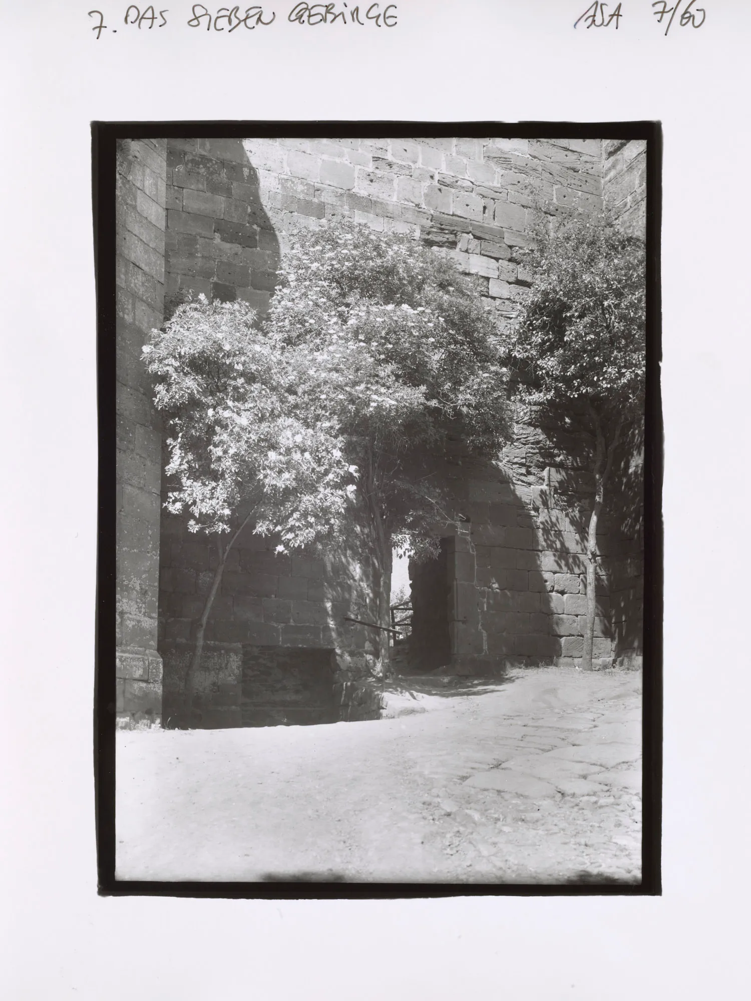 An NFT from the AS10k+ Project, launched to bring the historical archive of August Sander to the Digital World. Each NFT represents ownership of the physical contact print made by Gerd Sander in 1988/89 and depicted by the image as well as access to the August Sander Research Database where the historical legacy of the Sander Family Estate will become publicly available for research. Ownership of the physical contact sheet is determined by the wallet in which the NFT is owned, regardless of wether the contact print has been redeemed or not.