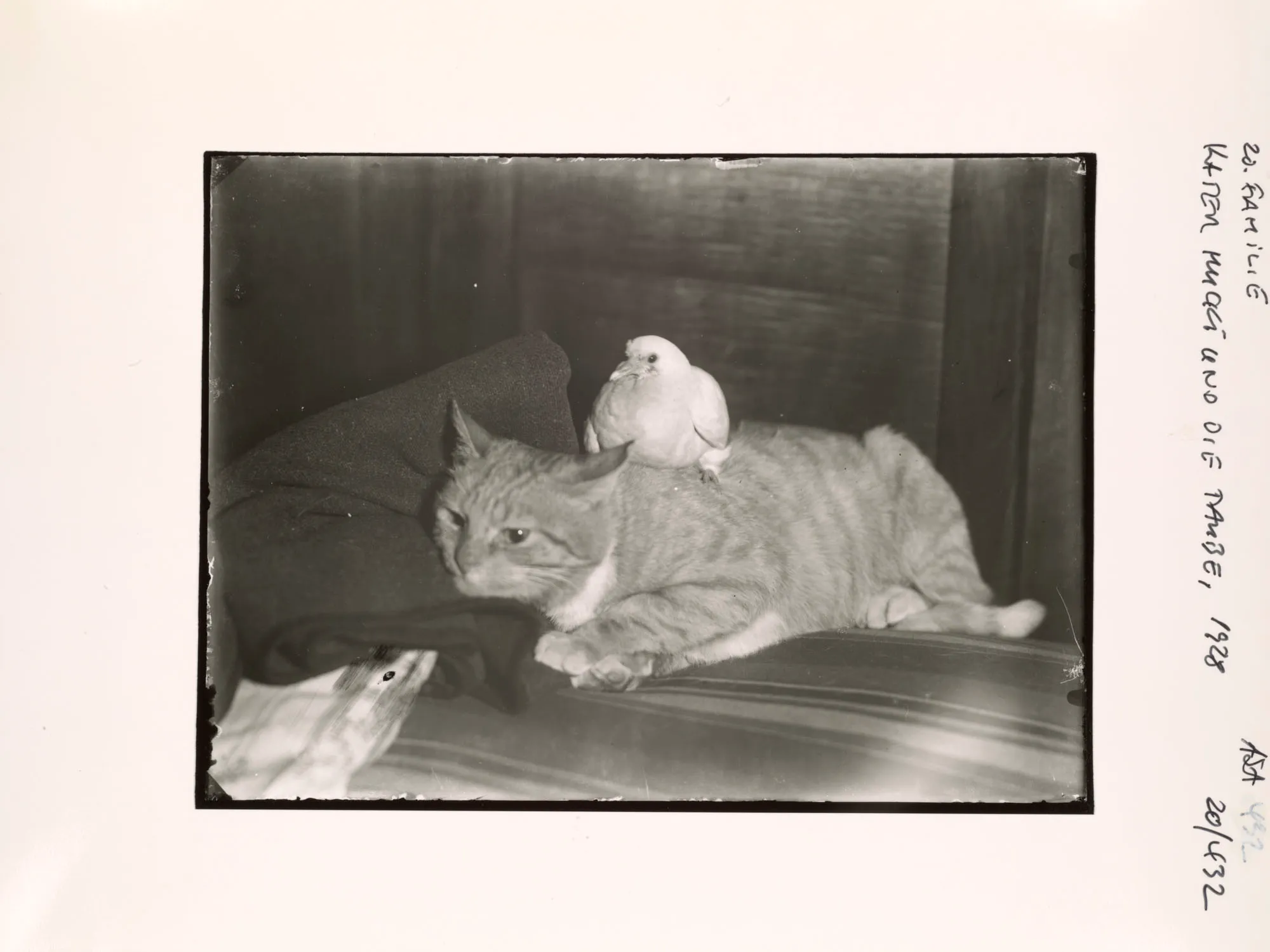 An NFT from the AS10k+ Project, launched to bring the historical archive of August Sander to the Digital World. Each NFT represents ownership of the physical contact print made by Gerd Sander in 1988/89 and depicted by the image as well as access to the August Sander Research Database where the historical legacy of the Sander Family Estate will become publicly available for research. Ownership of the physical contact sheet is determined by the wallet in which the NFT is owned, regardless of wether the contact print has been redeemed or not.