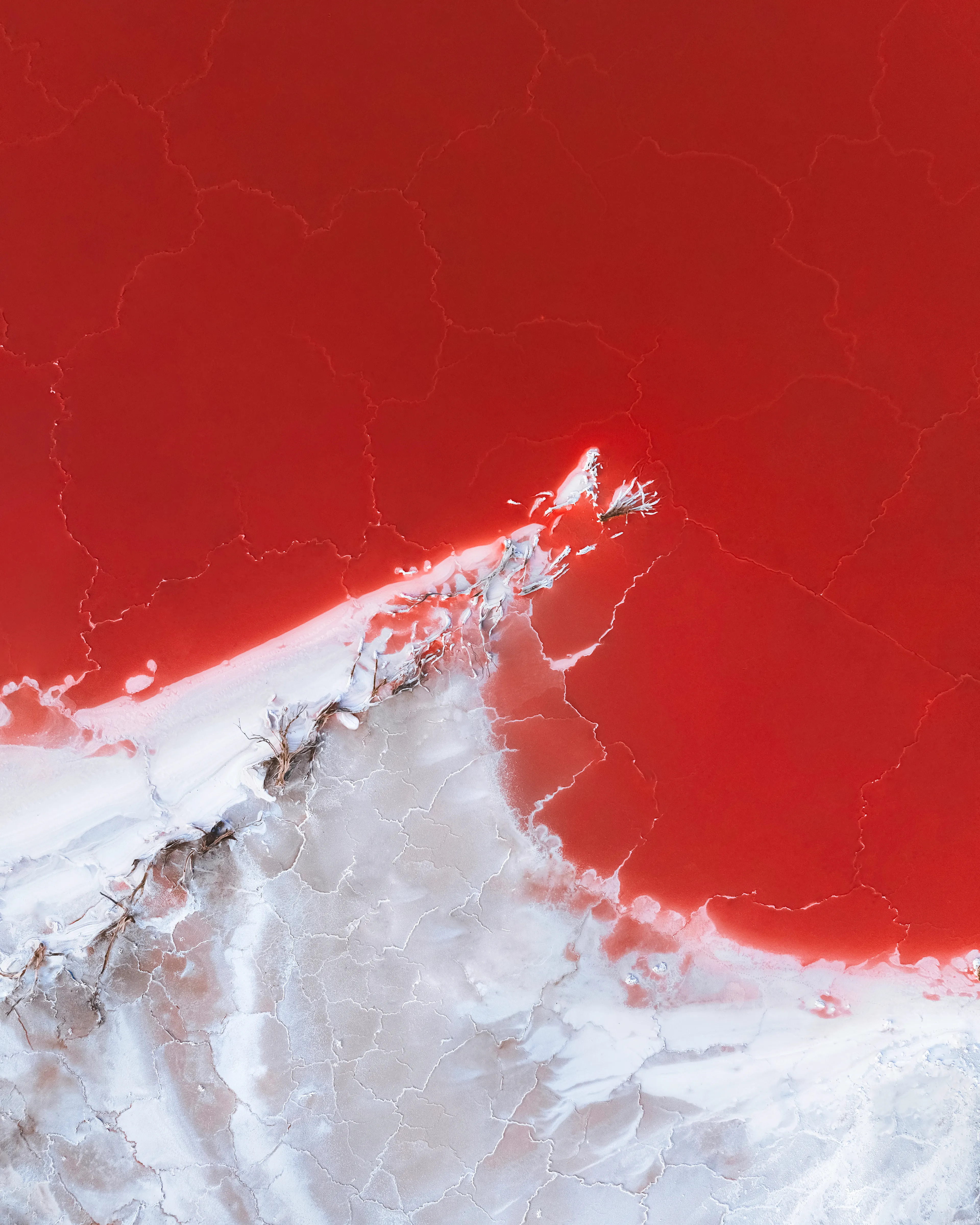 My interpretation of a tsunami wave, captured through the striking textures and colours of a salt lake. I enjoy hearing how different people interpret my drone photos. In this photo I see a wave crashing, while the textures in the red salt water could be lighting bolts. Similar to a stormy night over the sea. 

When I came across this salt lake in South Australia I felt an instant connection. I’m a huge ocean lover and spend my time bouncing between the coast and outback towns to capture salt lakes. To find a salt lake that almost combines the two, while also featuring the deep reds I love to photograph and fallen tree debris was very special. I feel like this image is the ultimate representation of me.