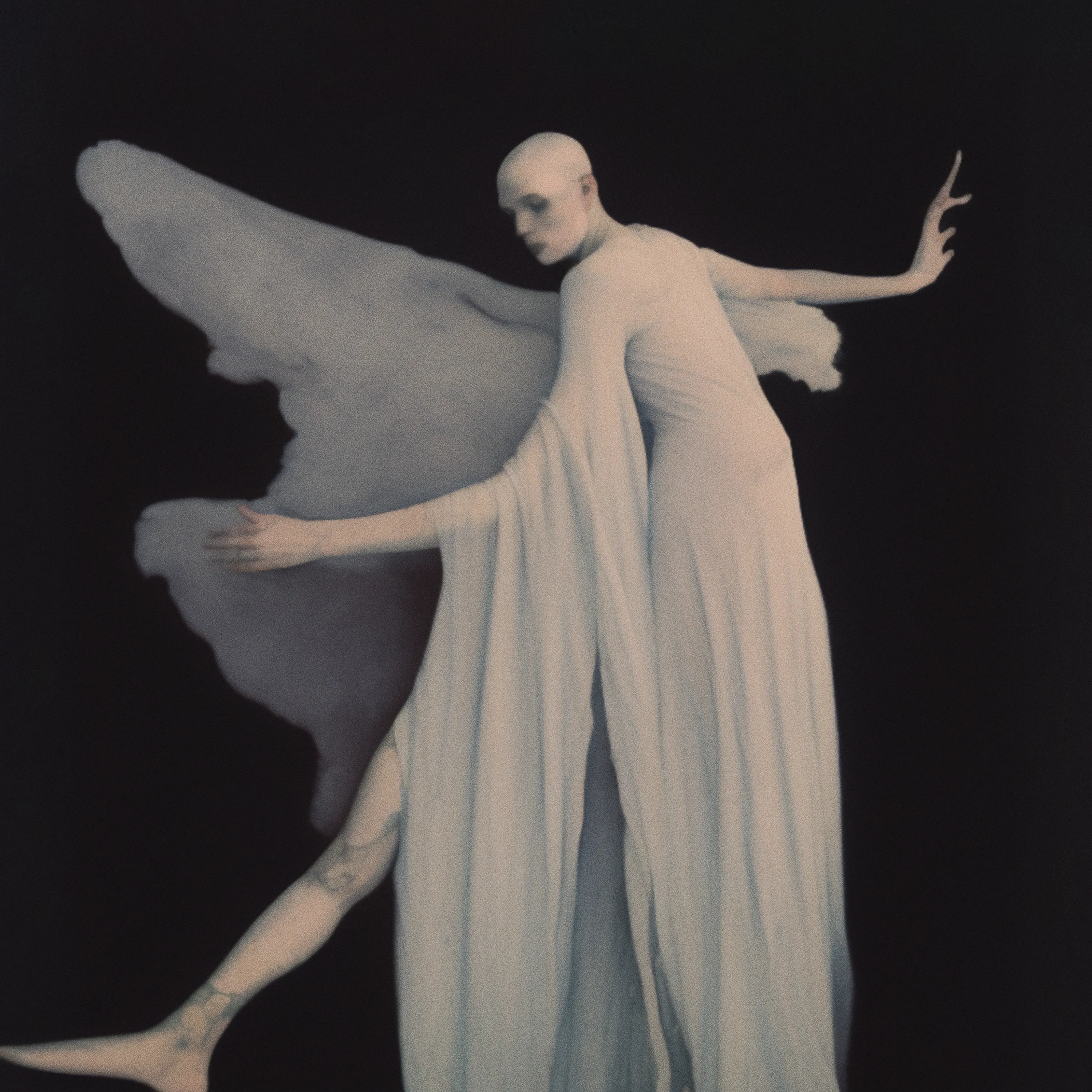 A dance around the light in darker times.