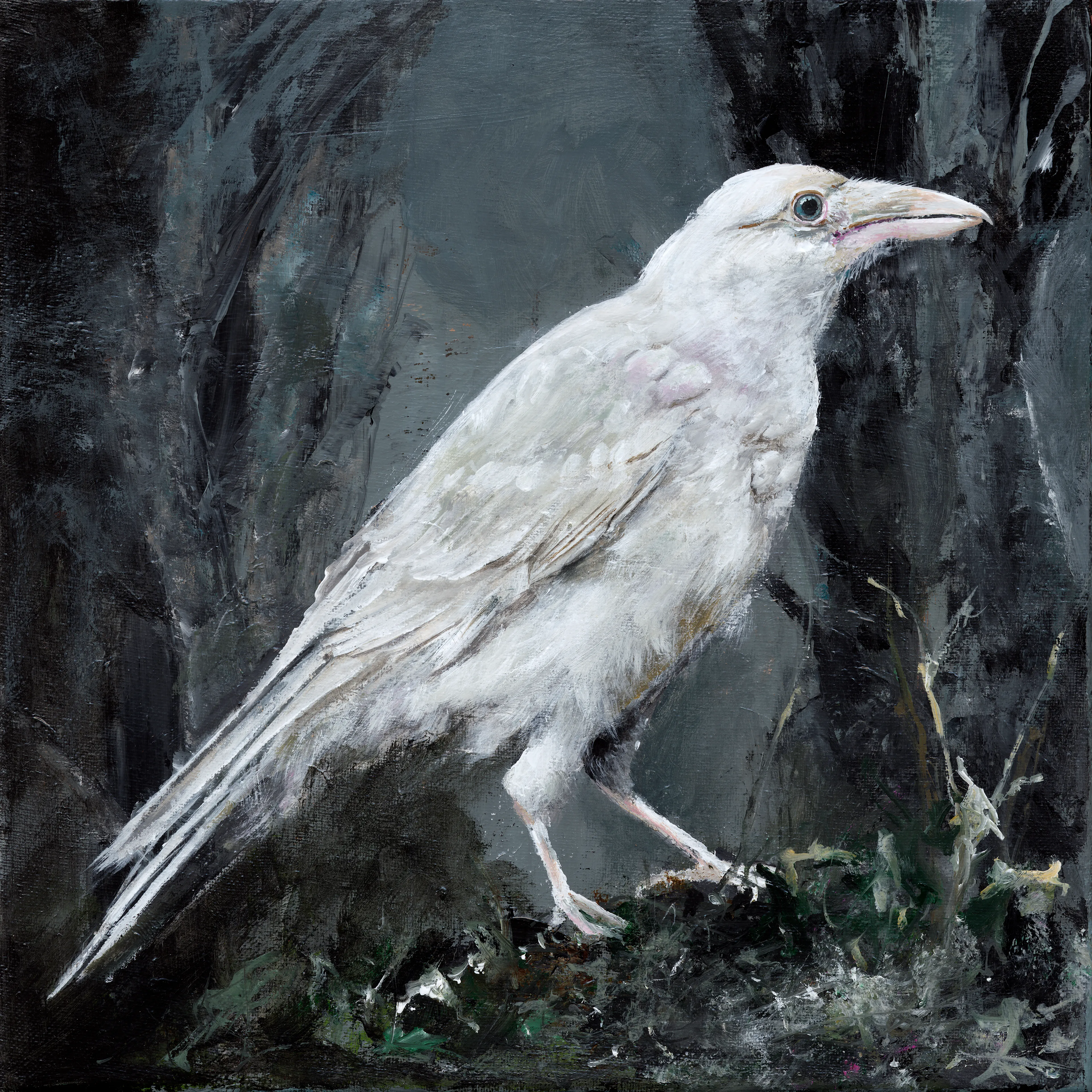I've always been drawn to ravens and this particularly white raven in a woodland setting is my magical scene. This is my fourth raven edition installation. Every year I paint a raven just for this drop. Thank you for visiting my magical creature, White Raven. 