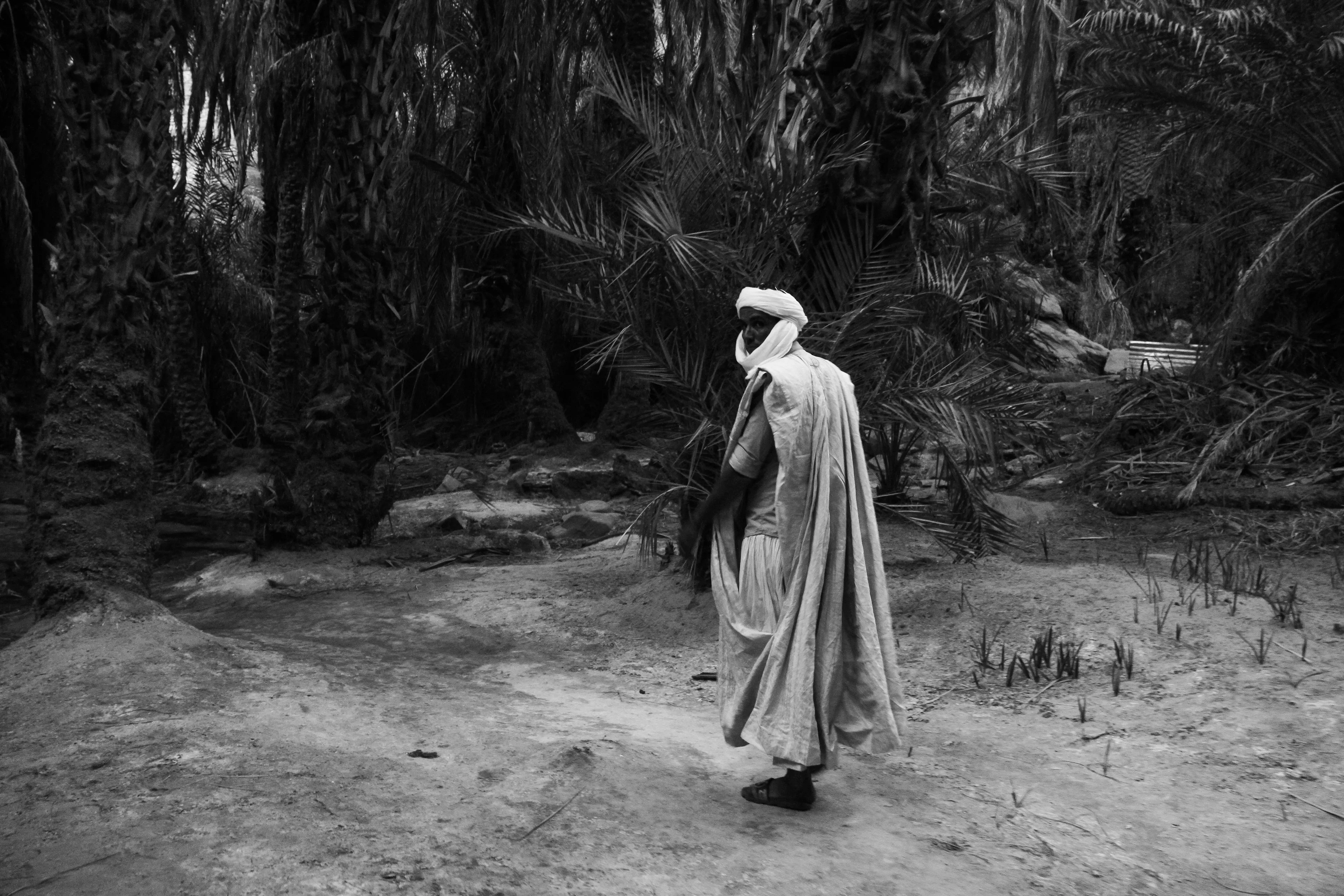 Out of the barren desert, Terjit appears nestled within a narrow canyon, a hidden sanctuary where life gathers against all odds. Palms rise along the stream that flows from the rock, casting shade over the water that seeps and drips from the canyon walls. For centuries, caravans, pilgrims, and wanderers have found rest here, stepping from scorching sands into a world of cool shade, murmuring water, and timeless tranquility.