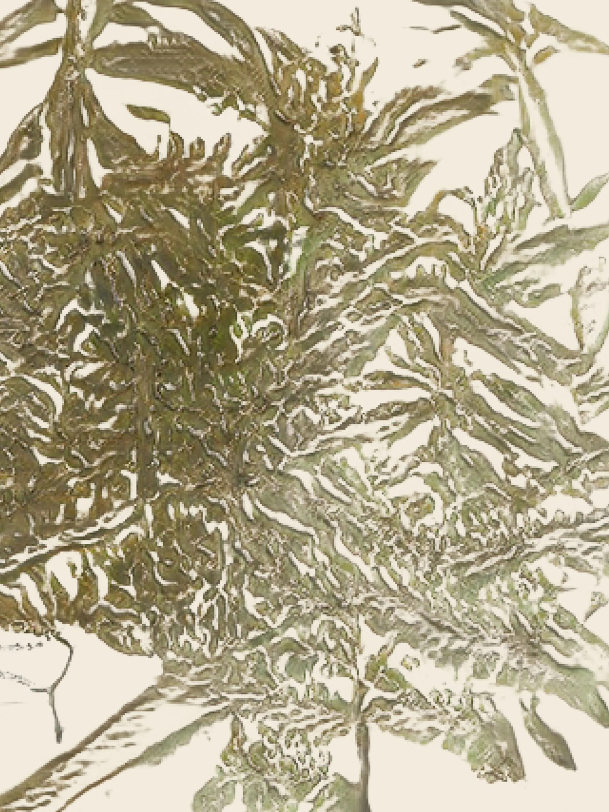 This artwork is a study for the painting "eleagnus salicaria" AV-2021-U-100, shown for the first time in 2021 during the Opus Sectile exhibition at darmo & Gismondi gallery in Paris, France.  
As part of an experimentation with the collectors, during the assembly of the frames, portions of "seed phrases" of wallets were hidden behind each of the 22 paintings. 
During a dedicated performance organized by aurèce vettier the following year, the collectors decided if they wanted to pool their respective words to collectively gain access to these studies, and determined the rules for "sharing the spoils".

Ref: AV-2021-U-100-S