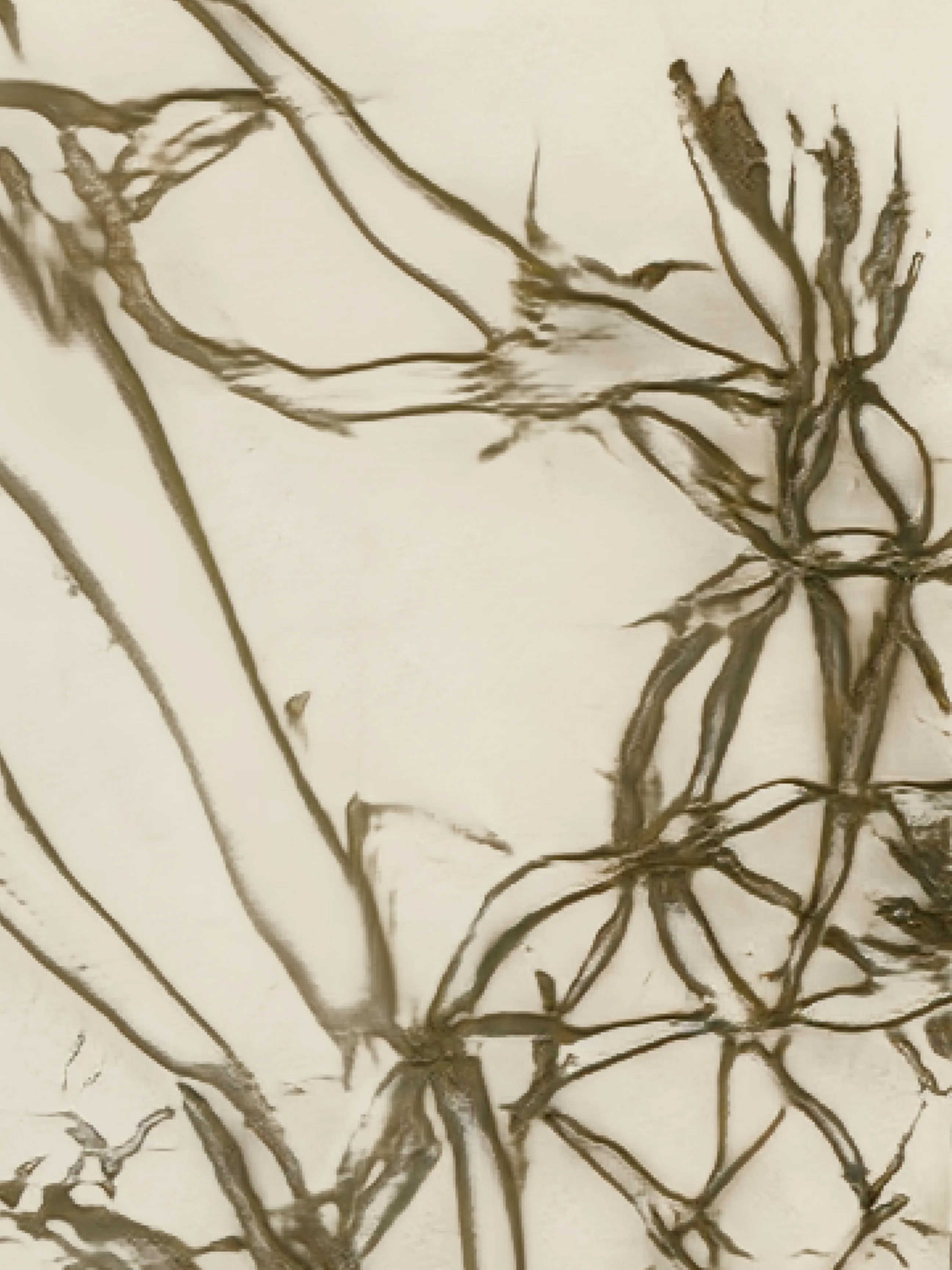 This artwork is a study for the painting "albizia flammula" AV-2021-U-103, shown for the first time in 2021 during the Opus Sectile exhibition at darmo & Gismondi gallery in Paris, France.  
As part of an experimentation with the collectors, during the assembly of the frames, portions of "seed phrases" of wallets were hidden behind each of the 22 paintings. 
During a dedicated performance organized by aurèce vettier the following year, the collectors decided if they wanted to pool their respective words to collectively gain access to these studies, and determined the rules for "sharing the spoils".

Ref: AV-2021-U-103-S