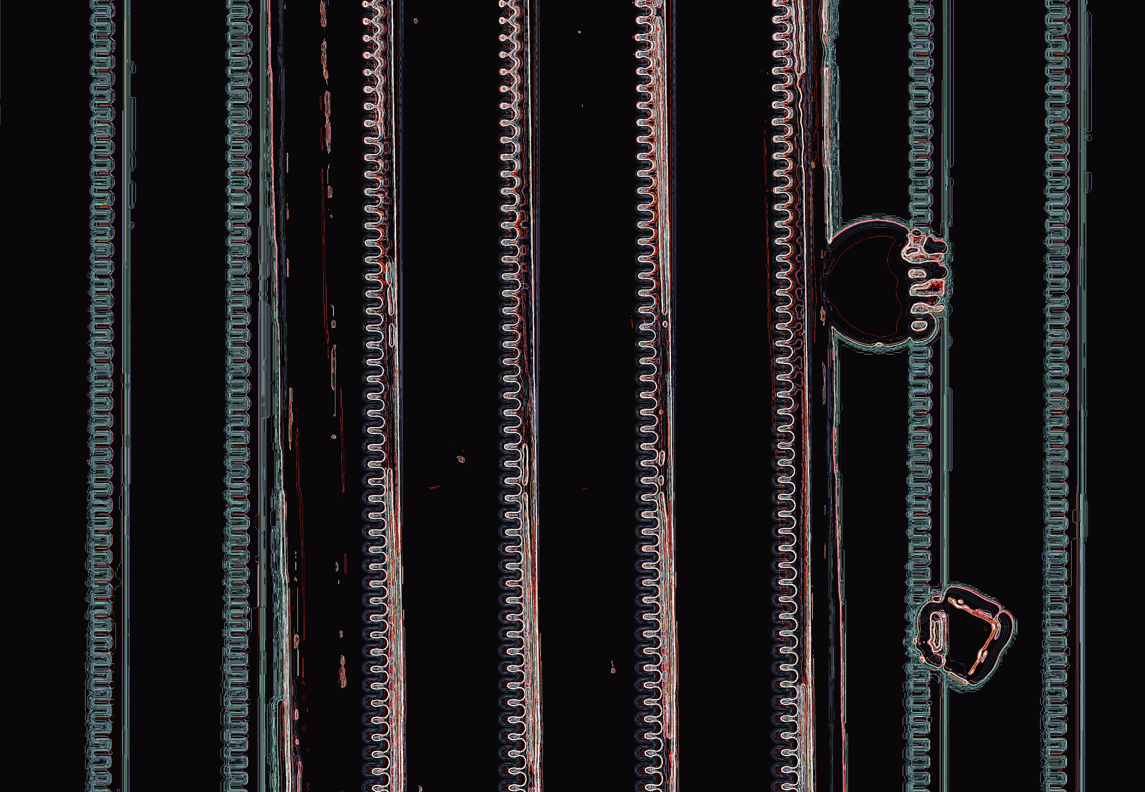 Have you ever seen a dancing worm?