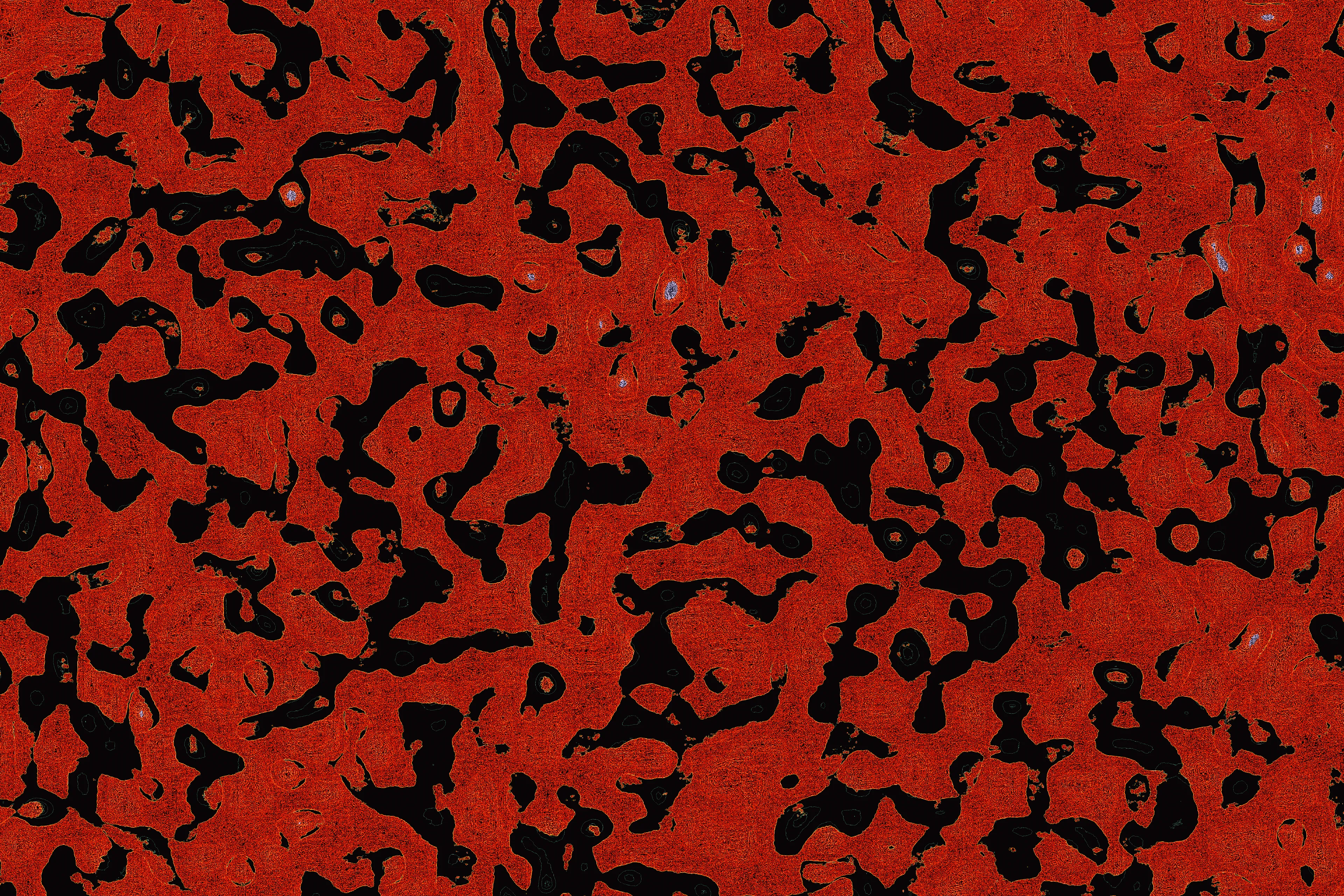 Have you ever seen a dancing worm?