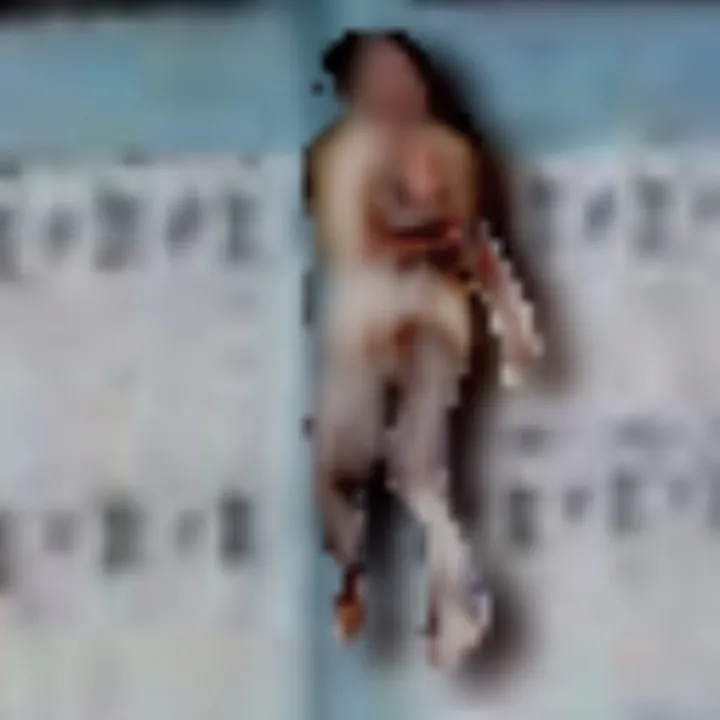 Five years ago, I began working digitally to explore whether a gestural, expressive language could exist within the digital medium. I experimented with layering, deconstructing, and reassembling found and original imagery—often setting strict rules for myself, like never undoing or deleting layers, to preserve the work’s history. This process evolved into short-form animations built frame by frame, where I sought to extend that same gestural approach through motion. Eventually, I turned to AI, which opened up a different set of possibilities. The early works, particularly from 2020–2021, became a foundation for a practice in which these ideas continued to evolve.