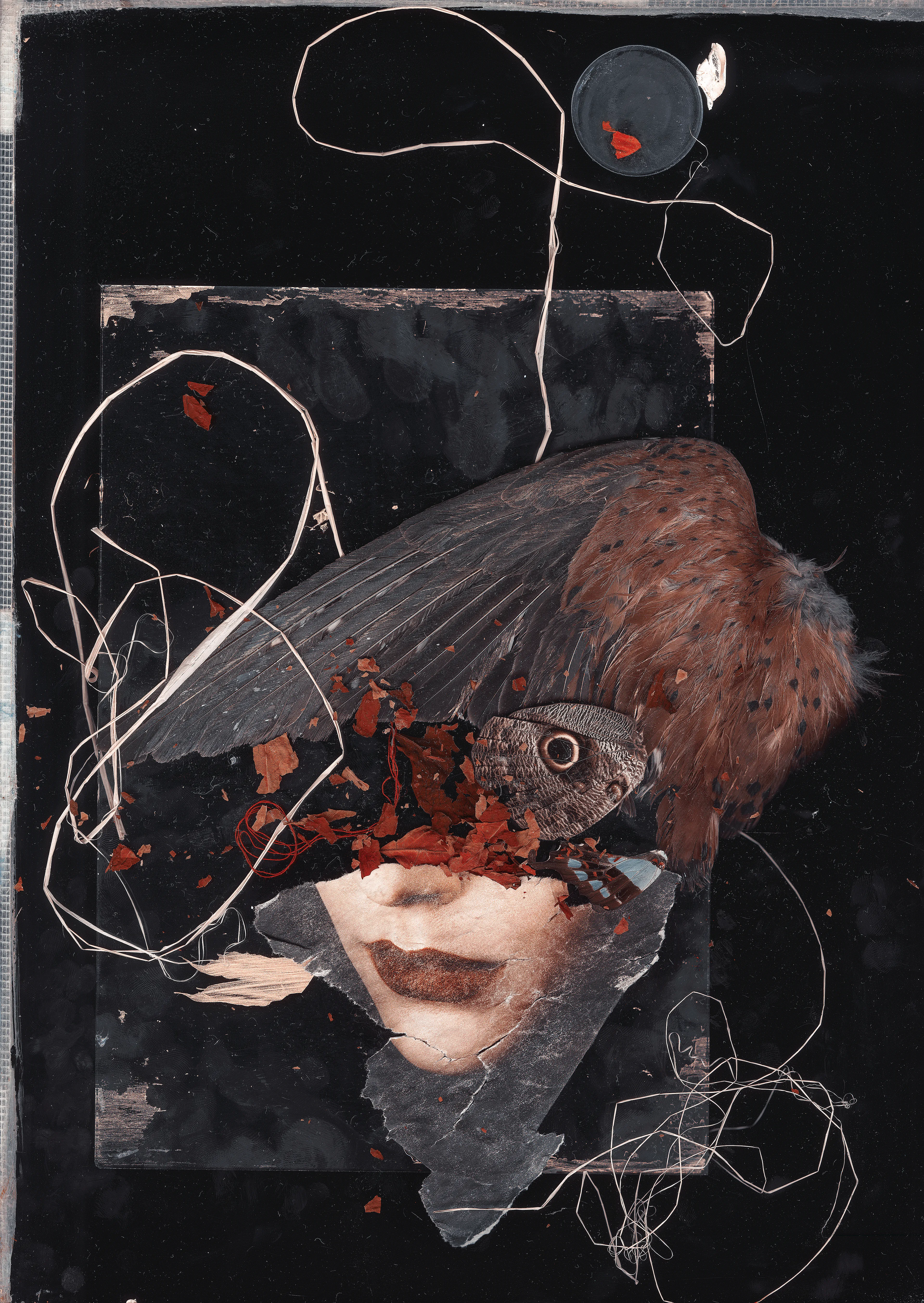 Sheet glass, the wing of an owl (found in the woods), dried grass, printed paper, dried leaves,  glass discs, butterfly wings, oil paint, acrylic paint, gold-leaf, the artists fingerprints. 2015. 

19519 x 27519 pixels
138 x 187 cm / 54 x 74 inches @ 350dpi

1/1 NFT + giclee fine-art print on Hahnemühle cotton rag. Signed and titled by the artist. Ships worldwide. 

The full resolution 962.8 mb uncompressed artwork .tif is supplied also. 

About:
Portrait Automatic - A collection deconstructed, gravity-defying portrait sculptures - built from traditional fine-art materials and found objects collected from the streets of London, UK.

Each artwork is composed and assembled directly onto my A3 scanner and captured in a single exposure in other-worldly macroscopic detail and incredible resolution.

Once captured, the composition is broken down - and so exists only momentarily IRL before traversing eternally into the machine ether… Inspired conceptually in part by Metzger’s "Machine, Auto-Creative and Auto-Destructive Art" (1960s) as well as Jean Tinguely ‘Métamatic’ artworks (1950’s).

*

Necessity is the mother of invention - my history with the machines:
I began working with scanners in 2001 (aged 15), at school there was an Epson in the computer lab and so (working opportunistically so as to remain unseen by the IT teacher; who would no doubt feel my actions as a terrible abuse of his nice, clean scanner :) I began to place dried plants, flowers, leaves and so on directly onto the scanner glass and make artworks in this manner… I found images made in this way had a distinct depth and look to them - a sense of weightlessness, of floating and the ethereal… I had discovered ‘Scanography’ in my own way, as I later discovered it was called…

The digital cameras available at the time were crap - 1 megapixel and prohibitively expensive. The scanner, in contrast, was relatively affordable at a fraction of the cost and capable of capturing imagery in far better resolution and detail. I had a job working weekends and holidays doing the washing up in a busy pub near to my mothers house. This income allowed me to save up enough £dosh to purchase my own cheap Epson A4 scanner. I could now produce my first significant series of artworks - ‘Pauses’ in the year 2002 - these works were shared on my website www.karborn.com and gained me some attention ‘on the web’ in the early 2000’s and so it all began… I was in. 

The time feels right to reprise these artworks and present them as a coherent collection - the culmination of many years working with my scanner and my first significant body of fine-art masterpieces, perhaps I will build some more heads soon too… Thank you. K 

#weworkedwithwildideasusingmachinesinwaystheywerenotdesignedtobeusedandatfirstweworkedfornothingbutnowwecanworkforabetterlifeandmakearttoexistsincerelywelcometotheundergroundeternalkkaarrbboorrnnlondonandonandonandonand…

KARBORN 2001 - 2022. 