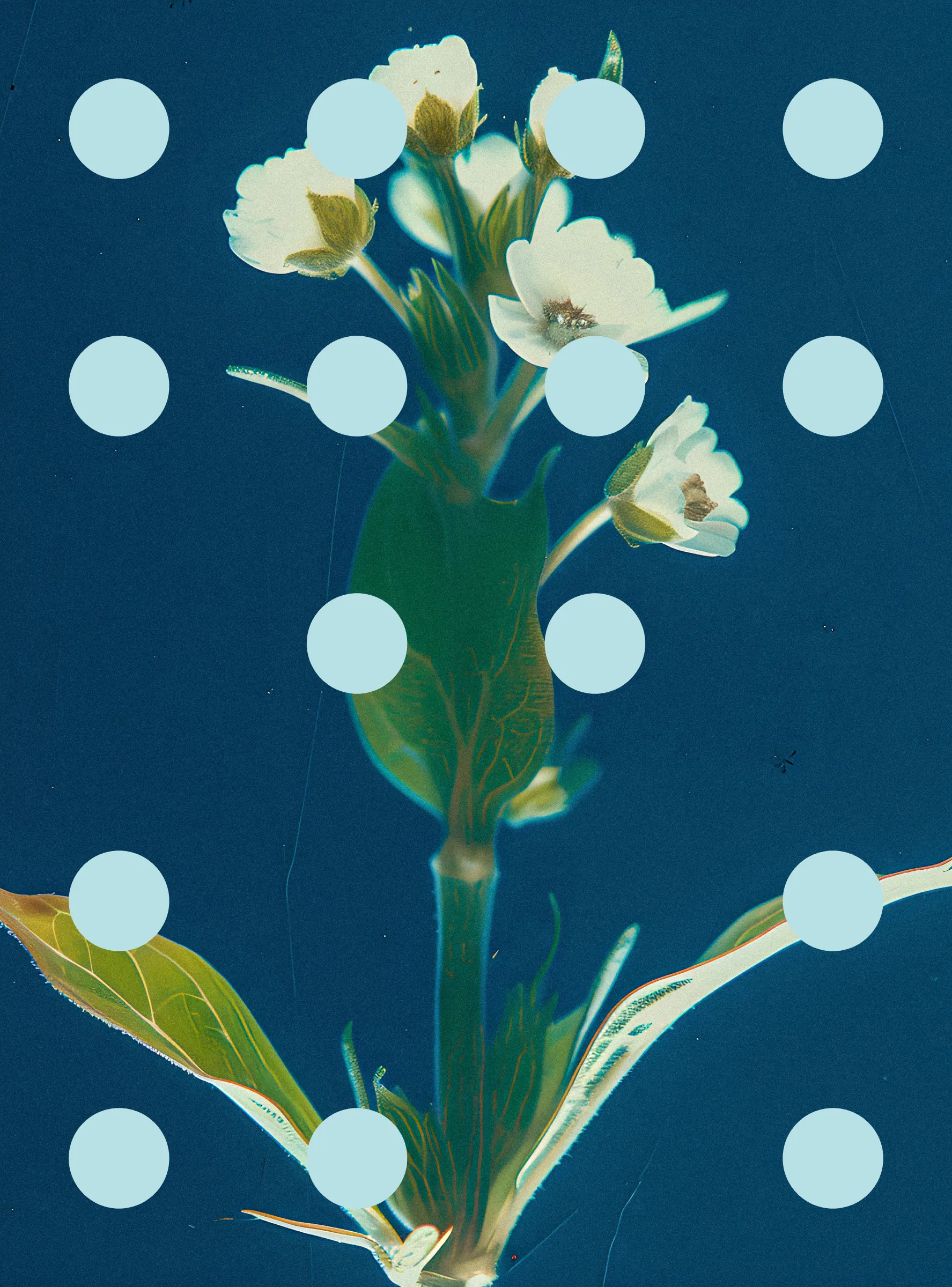 ‘Flore Perdue’ is the second chapter of ‘Once Upon A Garden’, a project I started in 2022 which depicts a world where humans have to live with simulated images of plants and flowers because they have disappeared from earth. The project asks whether the preservation of nature is compatible with the goals of industrialised and industrialising societies, and in general is a reflection on what gets left behind in our pursuit of progress.