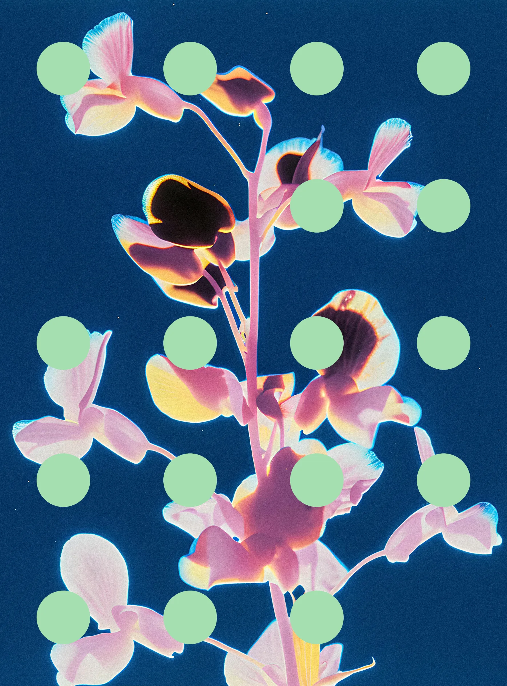 ‘Flore Perdue’ is the second chapter of ‘Once Upon A Garden’, a project I started in 2022 which depicts a world where humans have to live with simulated images of plants and flowers because they have disappeared from earth. The project asks whether the preservation of nature is compatible with the goals of industrialised and industrialising societies, and in general is a reflection on what gets left behind in our pursuit of progress.