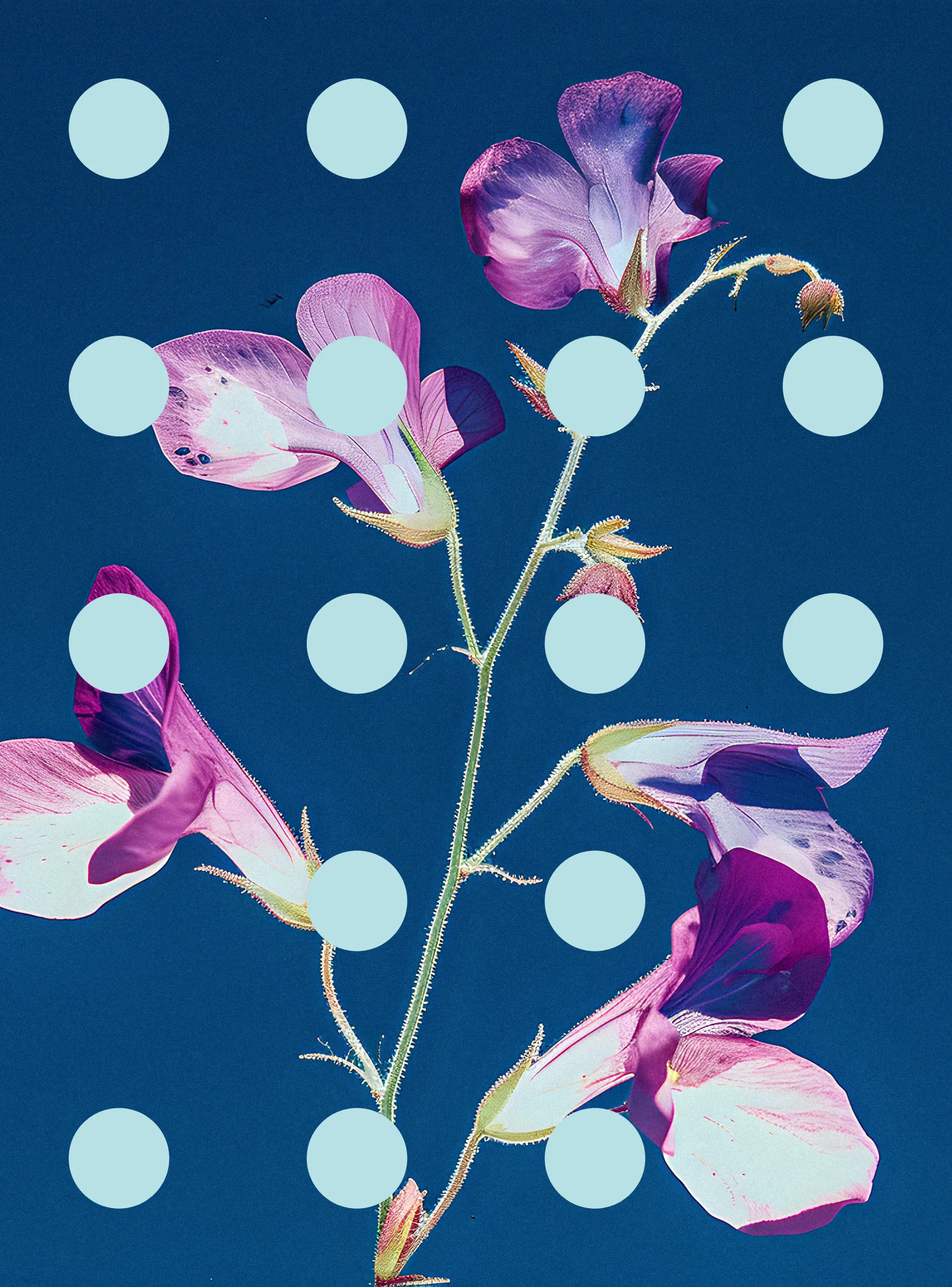 ‘Flore Perdue’ is the second chapter of ‘Once Upon A Garden’, a project I started in 2022 which depicts a world where humans have to live with simulated images of plants and flowers because they have disappeared from earth. The project asks whether the preservation of nature is compatible with the goals of industrialised and industrialising societies, and in general is a reflection on what gets left behind in our pursuit of progress.