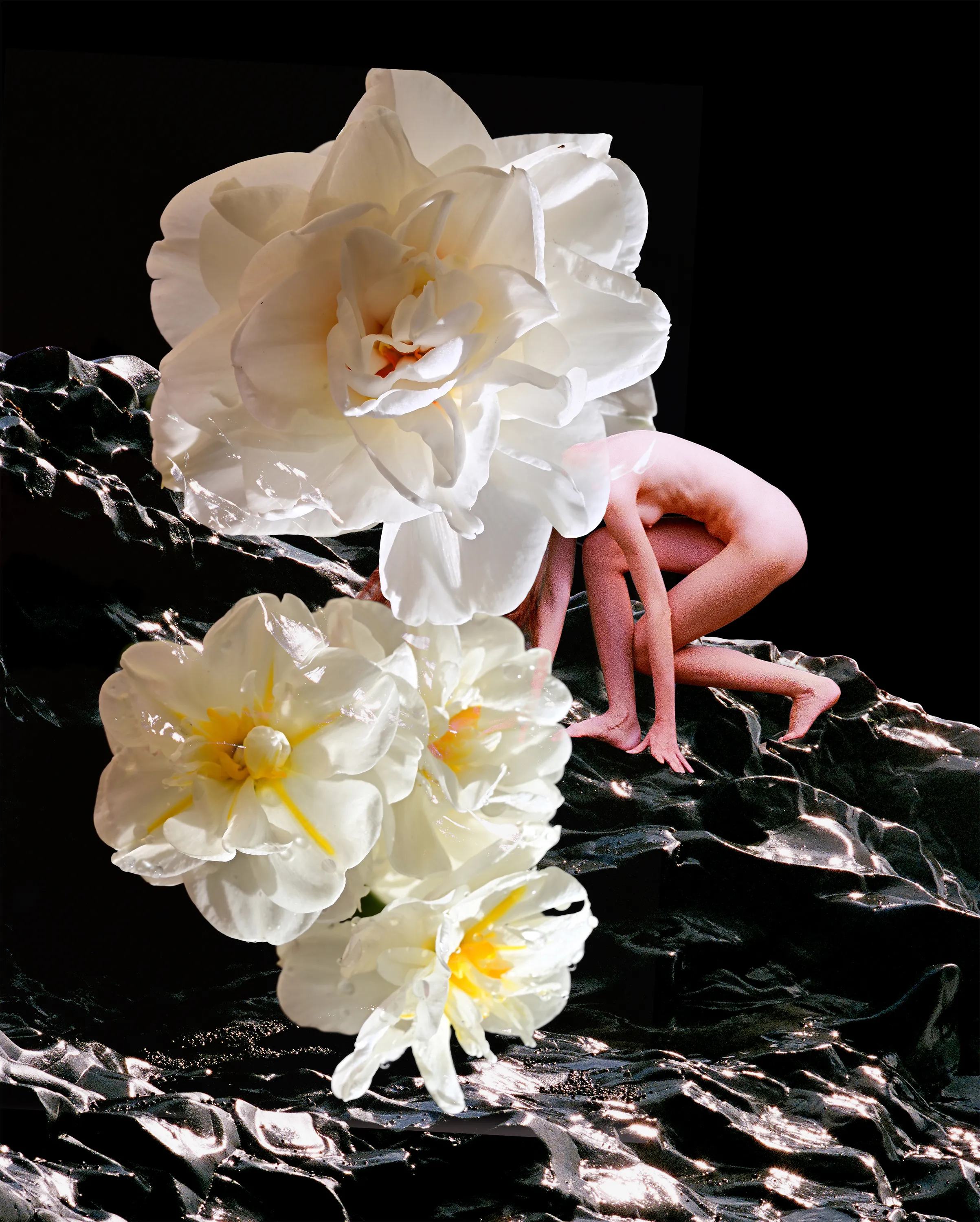 Flowermania is a tribute to Planet Earth blooming (literally and metaphorically) in the world where transformation is a key to happiness of ones soul.

Artist: Synchrodogs
size: 2406x3000px
year: 2022
format:JPG