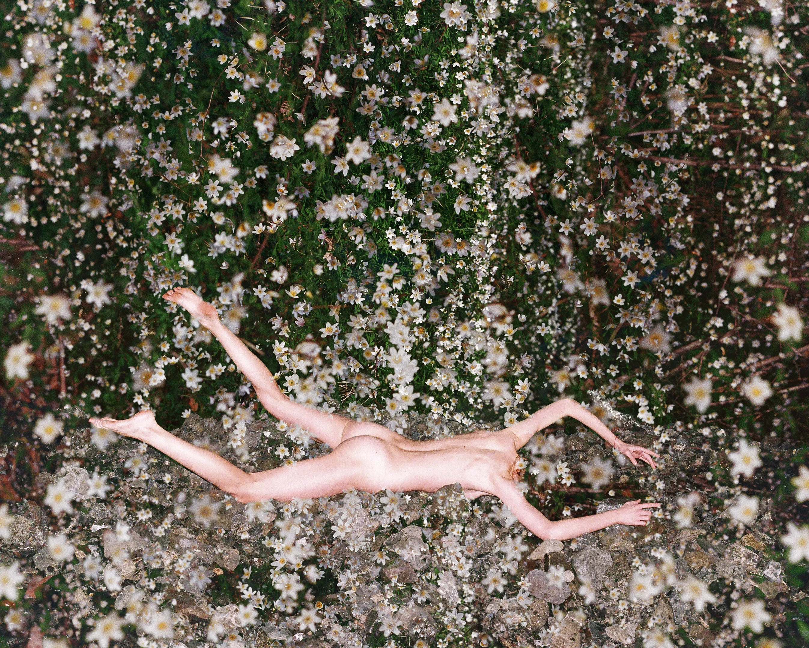 Flowermania is a tribute to Planet Earth blooming (literally and metaphorically) in the world where transformation is a key to happiness of ones soul.

Artist: Synchrodogs
size:2160x2693px
year: 2022
format:JPG