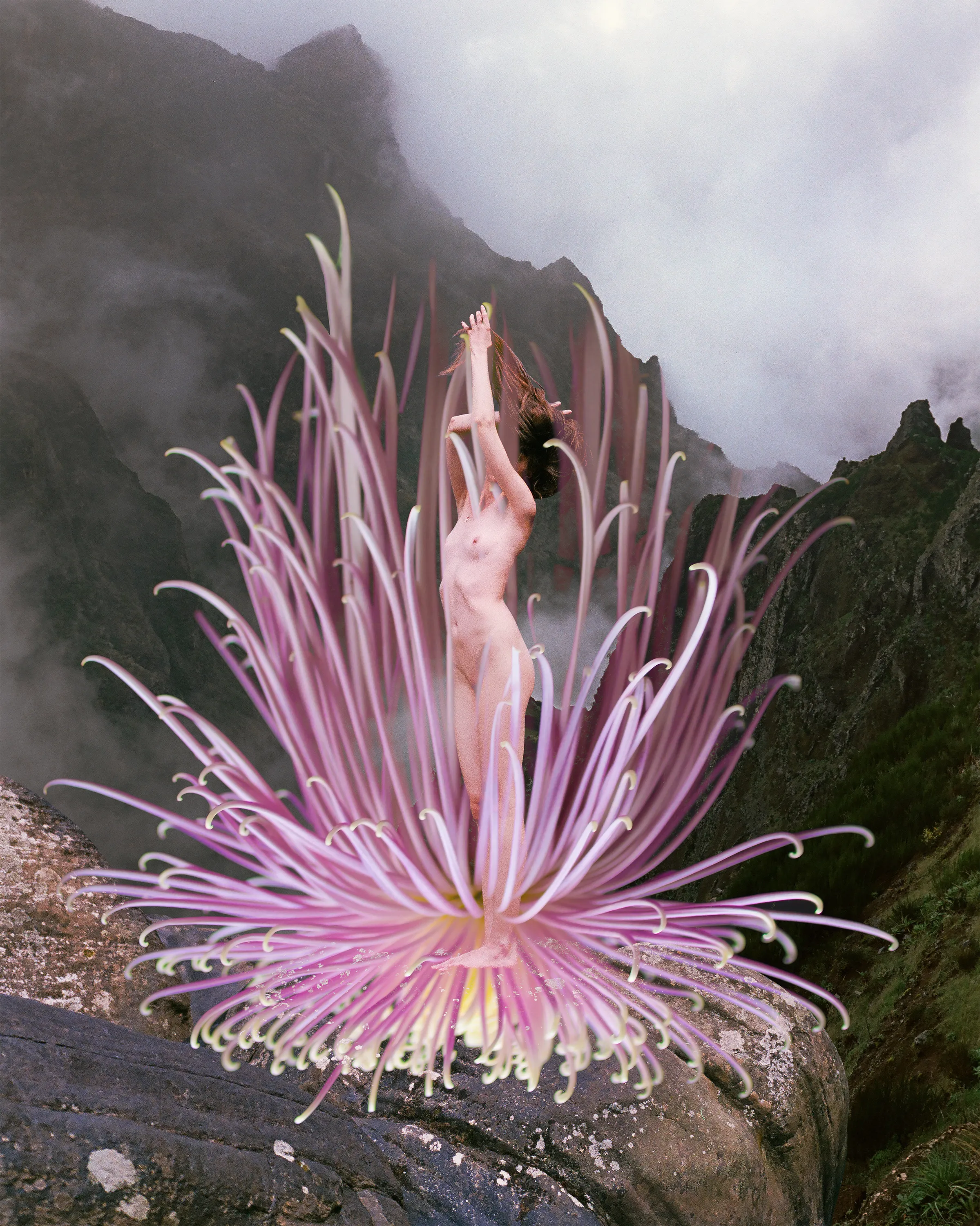 Flowermania is a tribute to Planet Earth blooming (literally and metaphorically) in the world where transformation is a key to happiness of ones soul.

Artist: Synchrodogs
size: 2399x3000px
year: 2021
format: jpg