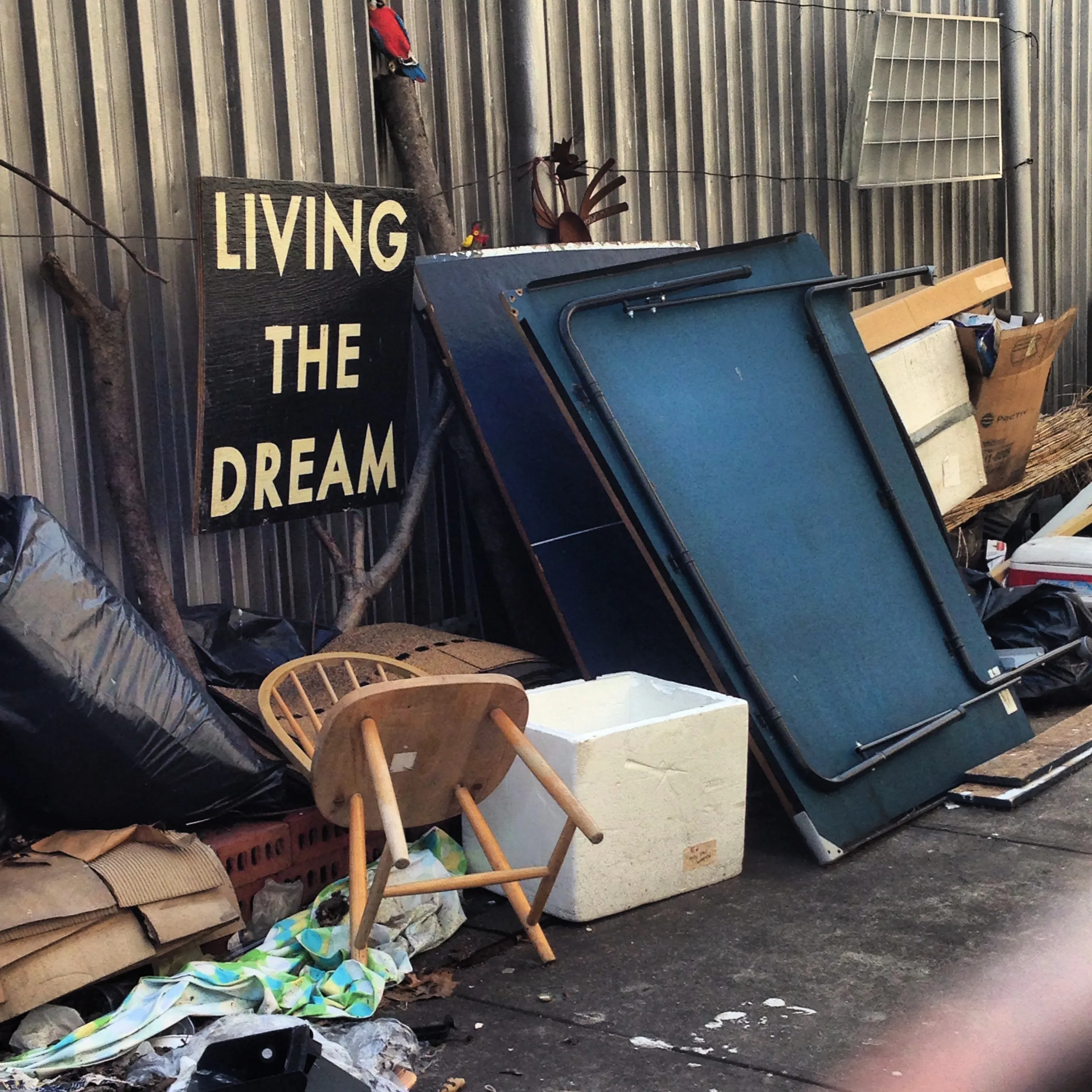 "Discarded"

Artist: Barry Sutton