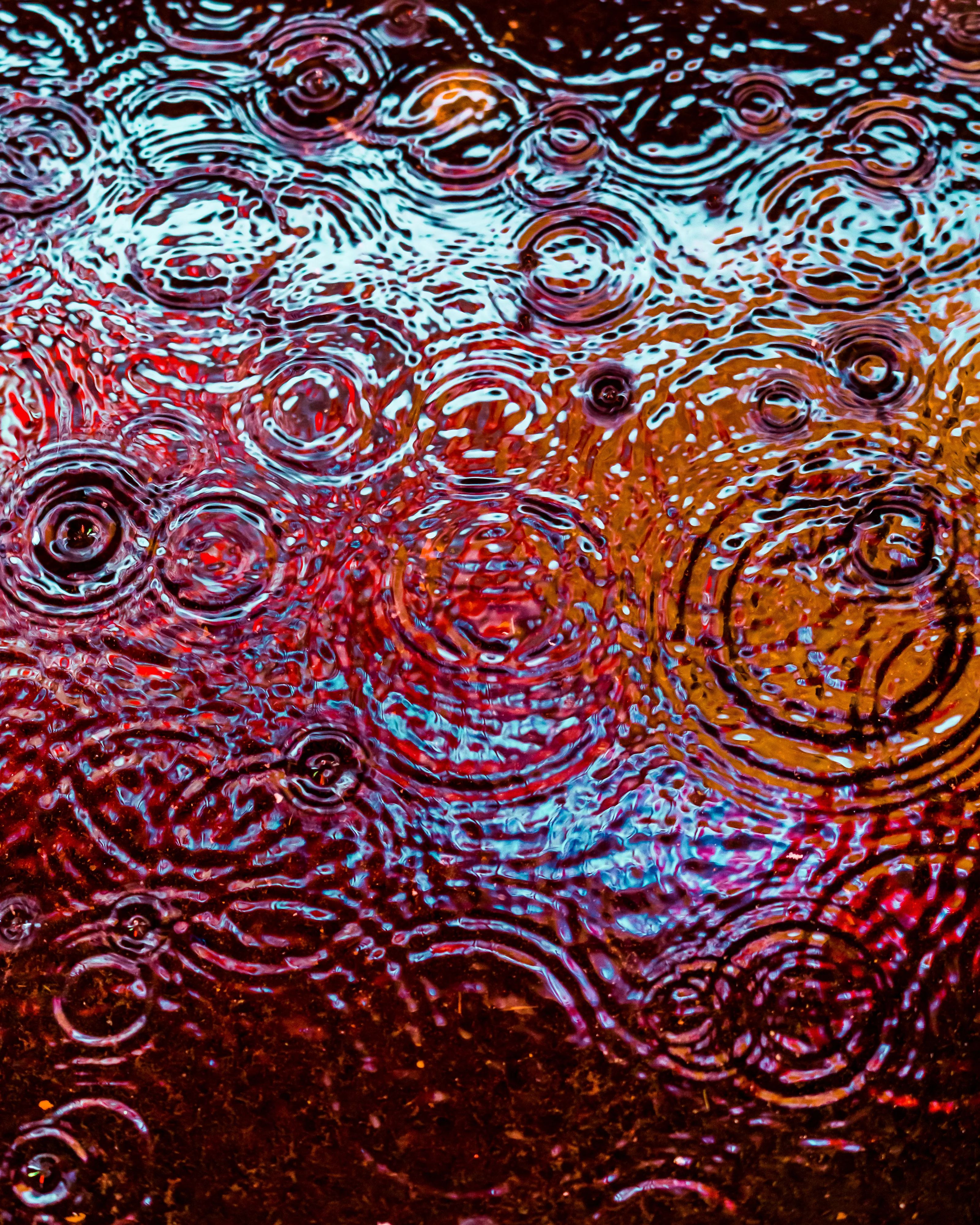 Drip Drop is an ode to the generative beauty of a universe unwinding. 1111 1/1 photographs of rain hitting puddles in Times Square, New York City. Rarity is determined by machine vision detecting a wide range of variables.