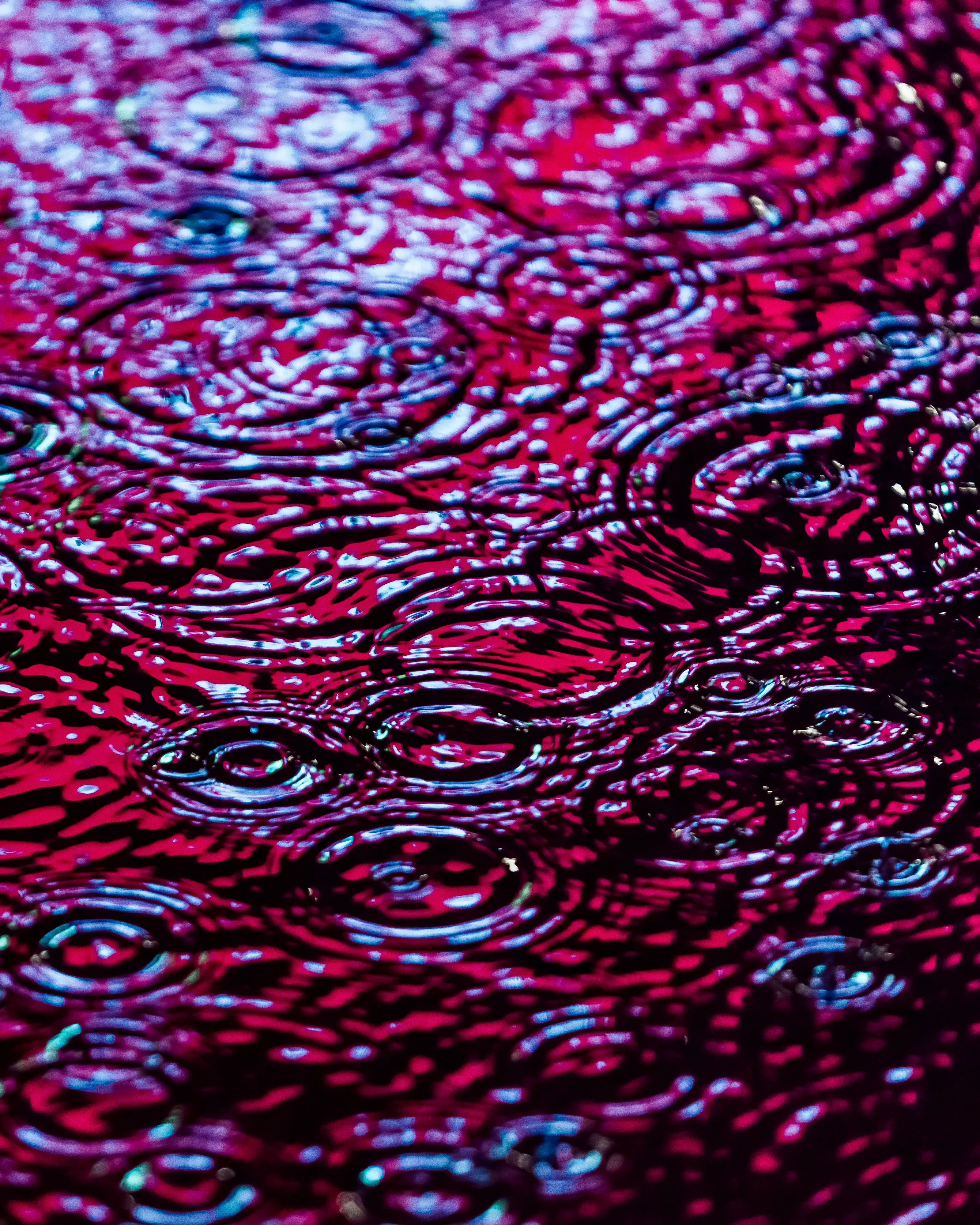 Drip Drop is an ode to the generative beauty of a universe unwinding. 1111 1/1 photographs of rain hitting puddles in Times Square, New York City. Rarity is determined by machine vision detecting a wide range of variables.