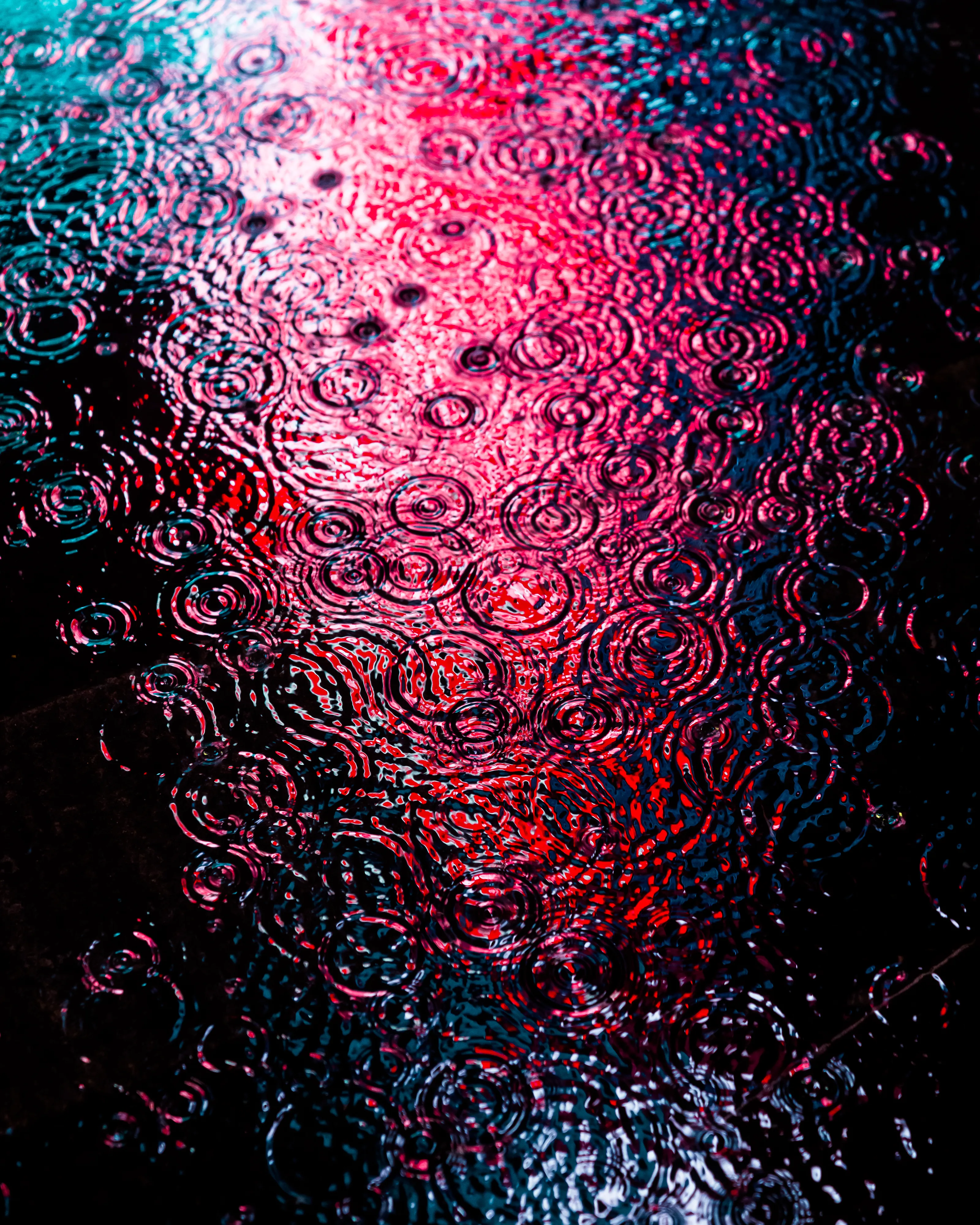 Drip Drop is an ode to the generative beauty of a universe unwinding. 1111 1/1 photographs of rain hitting puddles in Times Square, New York City. Rarity is determined by machine vision detecting a wide range of variables.