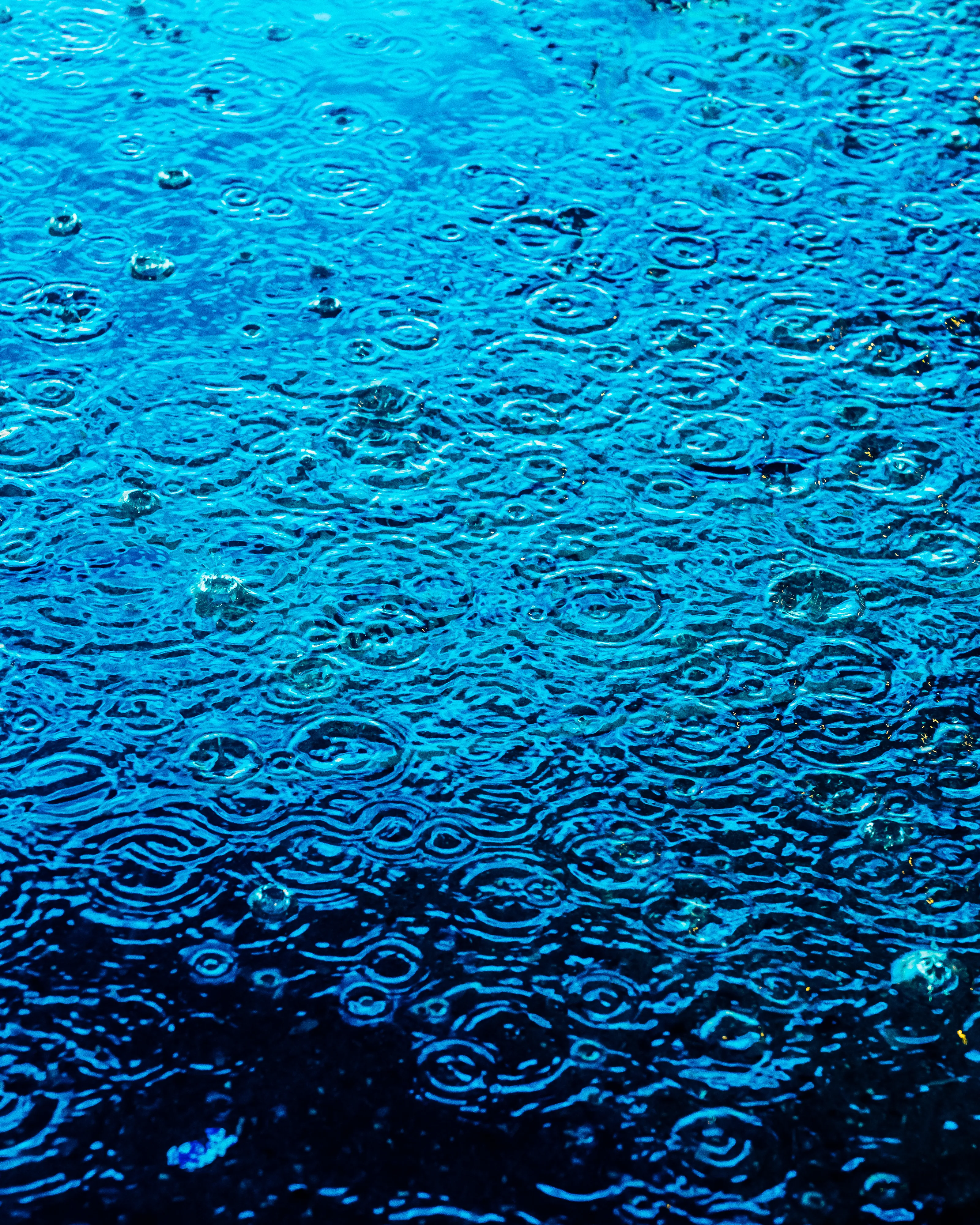 Drip Drop is an ode to the generative beauty of a universe unwinding. 1111 1/1 photographs of rain hitting puddles in Times Square, New York City. Rarity is determined by machine vision detecting a wide range of variables.