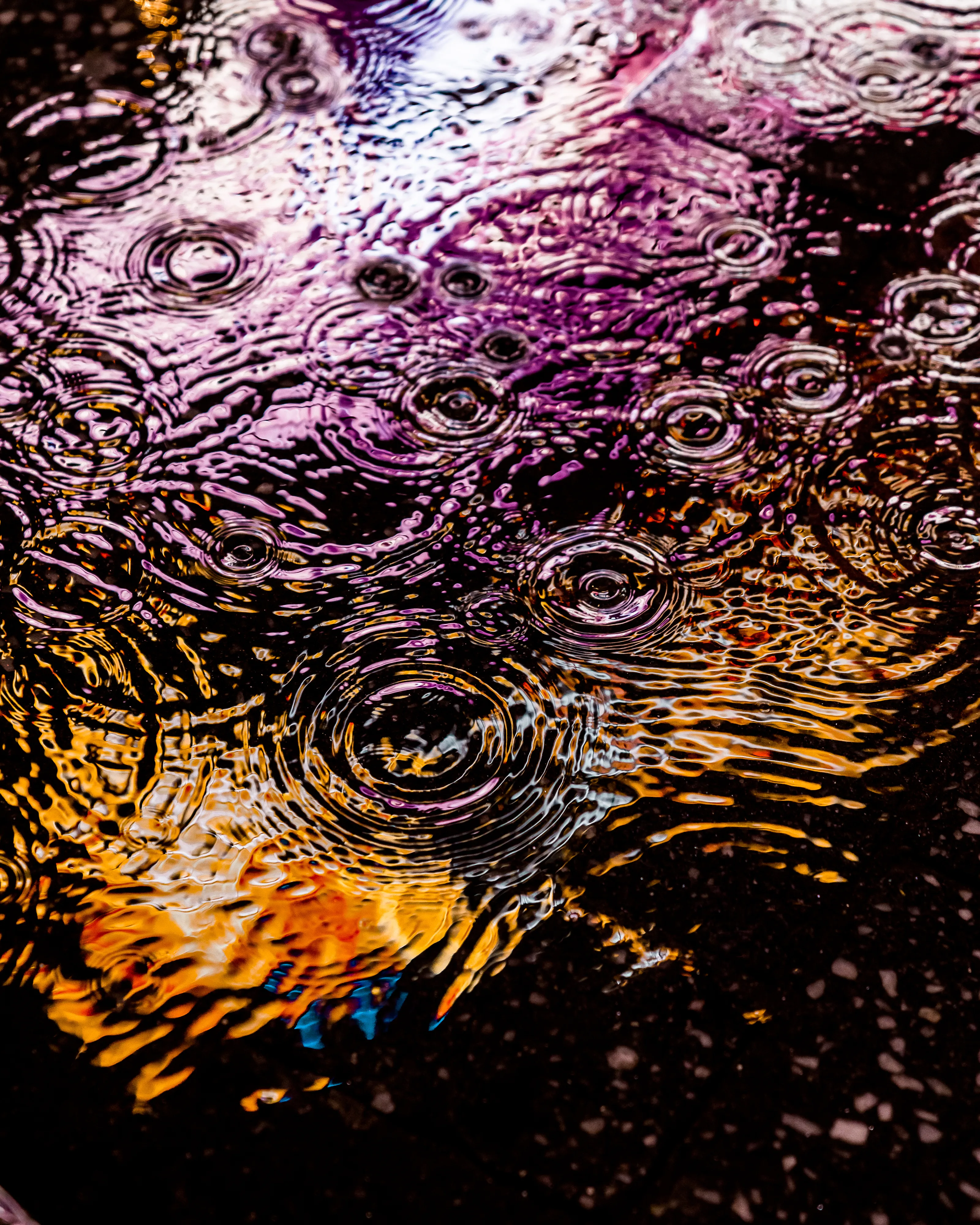 Drip Drop is an ode to the generative beauty of a universe unwinding. 1111 1/1 photographs of rain hitting puddles in Times Square, New York City. Rarity is determined by machine vision detecting a wide range of variables.
