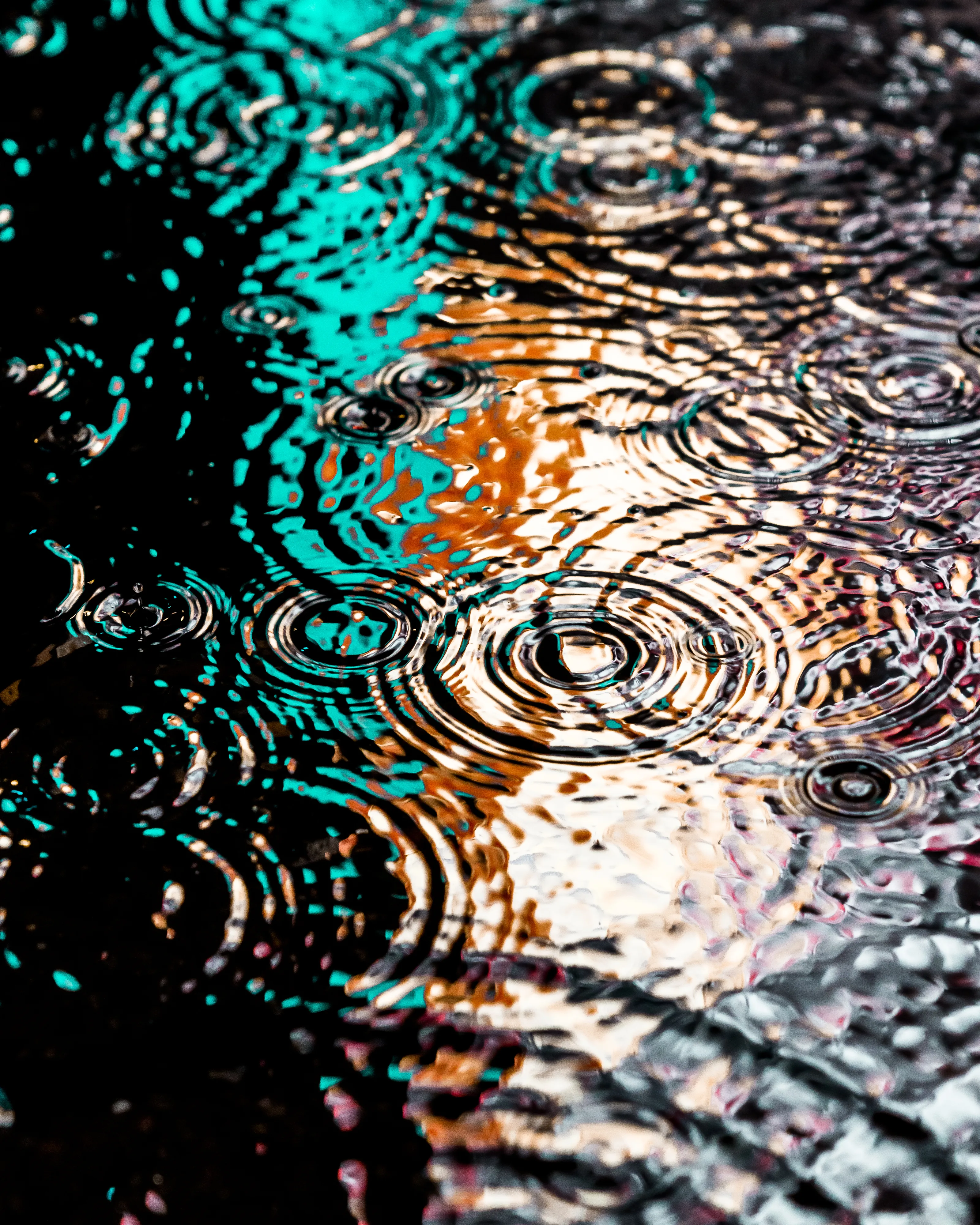 Drip Drop is an ode to the generative beauty of a universe unwinding. 1111 1/1 photographs of rain hitting puddles in Times Square, New York City. Rarity is determined by machine vision detecting a wide range of variables.