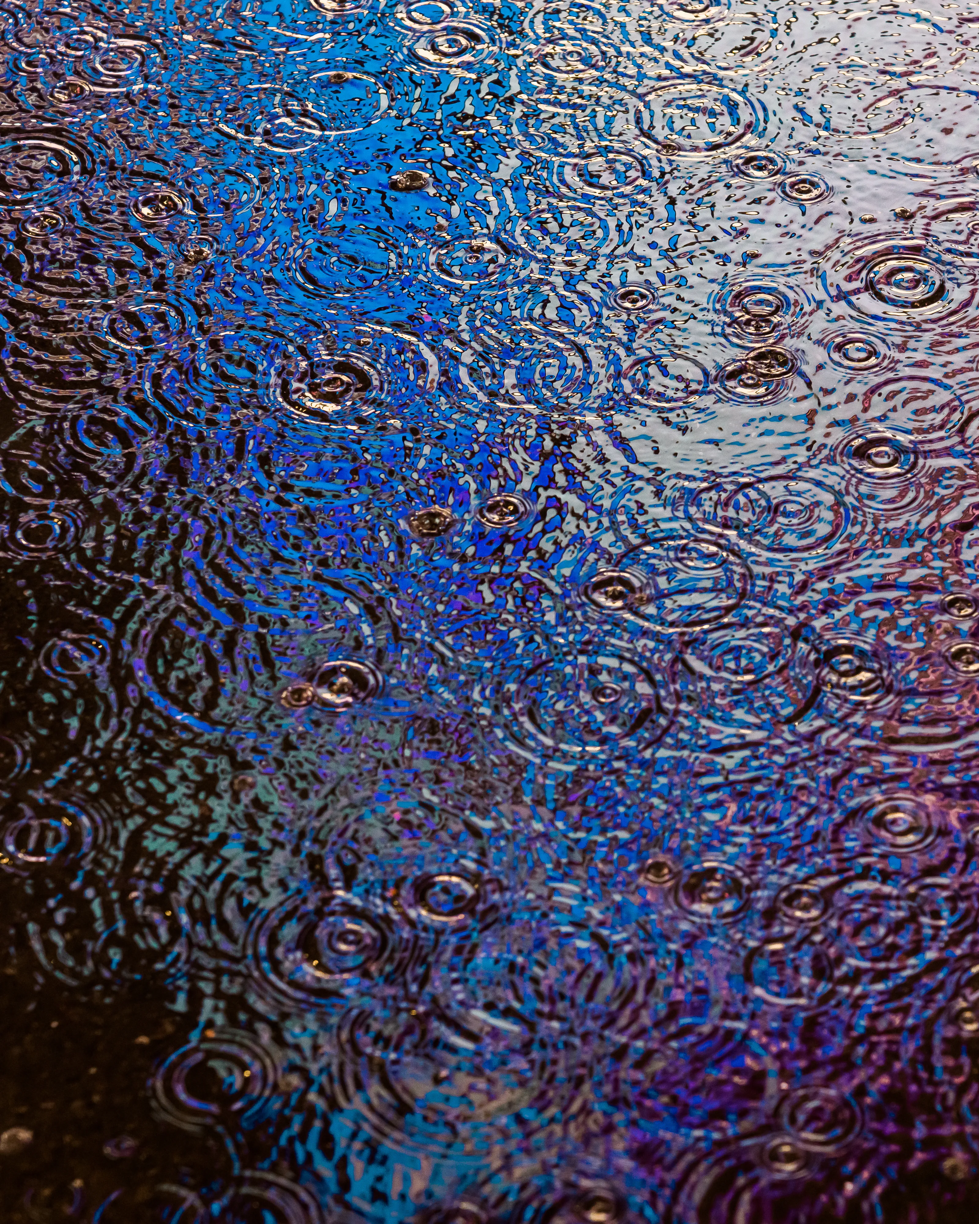 Drip Drop is an ode to the generative beauty of a universe unwinding. 1111 1/1 photographs of rain hitting puddles in Times Square, New York City. Rarity is determined by machine vision detecting a wide range of variables.