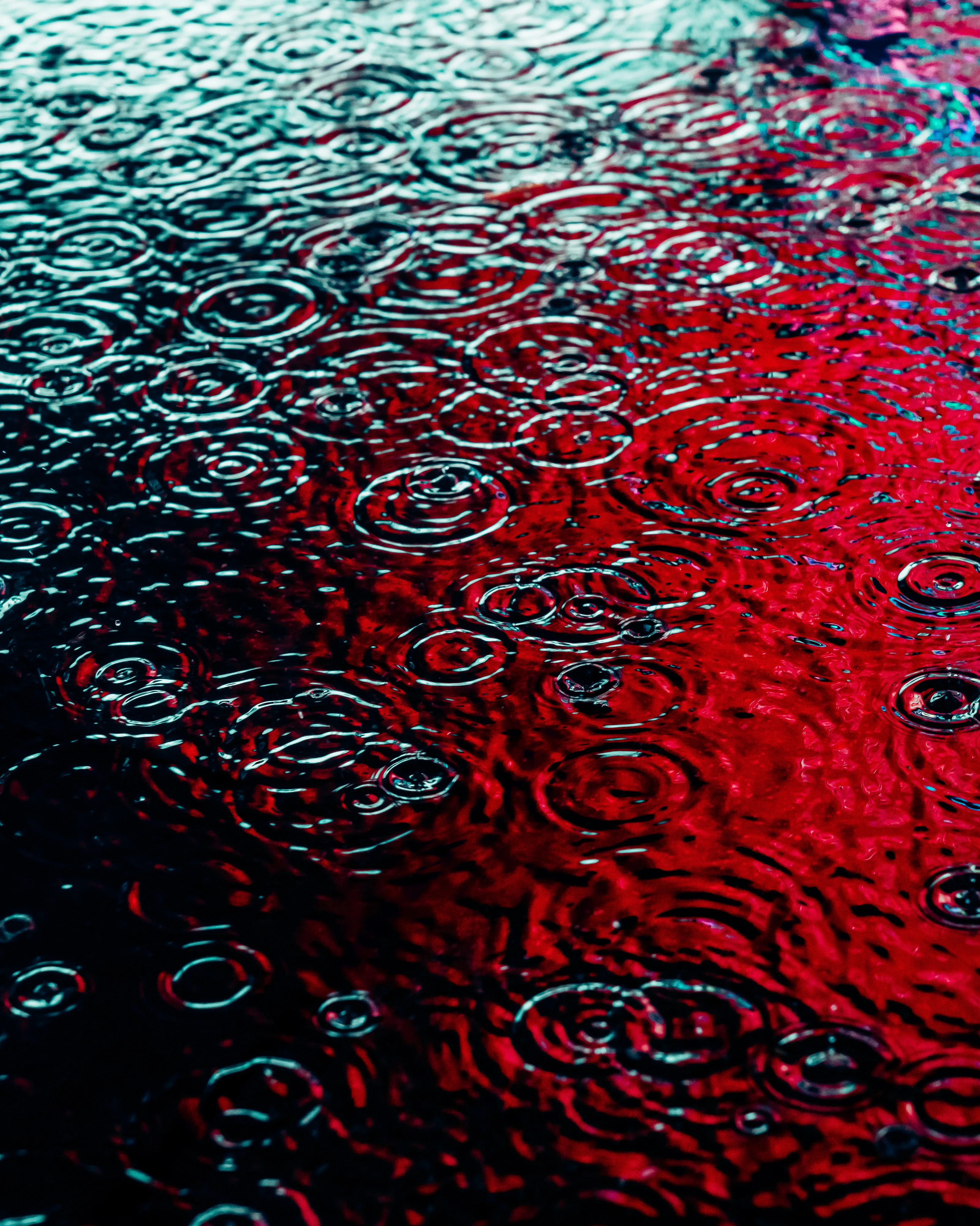 Drip Drop is an ode to the generative beauty of a universe unwinding. 1111 1/1 photographs of rain hitting puddles in Times Square, New York City. Rarity is determined by machine vision detecting a wide range of variables.