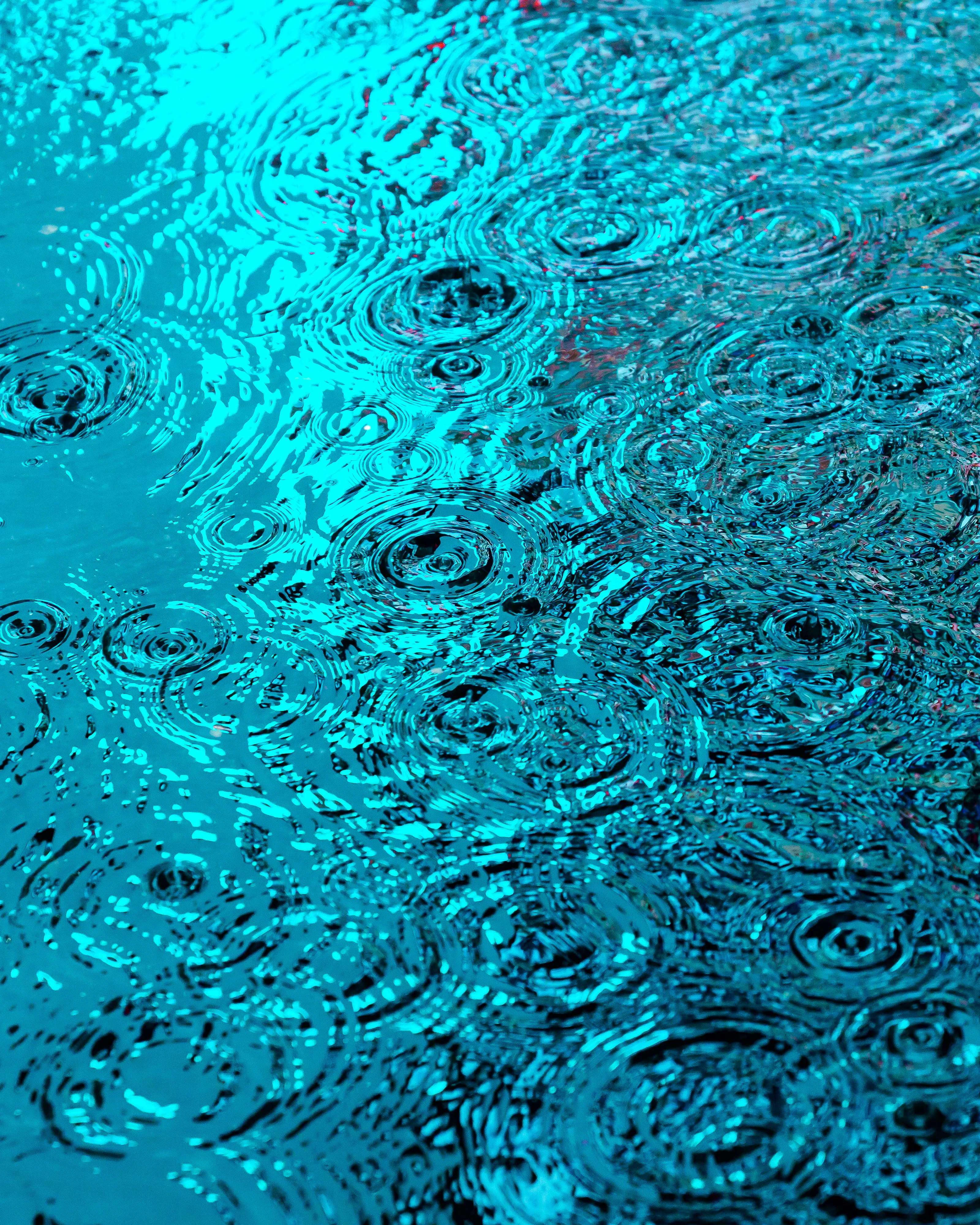 Drip Drop is an ode to the generative beauty of a universe unwinding. 1111 1/1 photographs of rain hitting puddles in Times Square, New York City. Rarity is determined by machine vision detecting a wide range of variables.