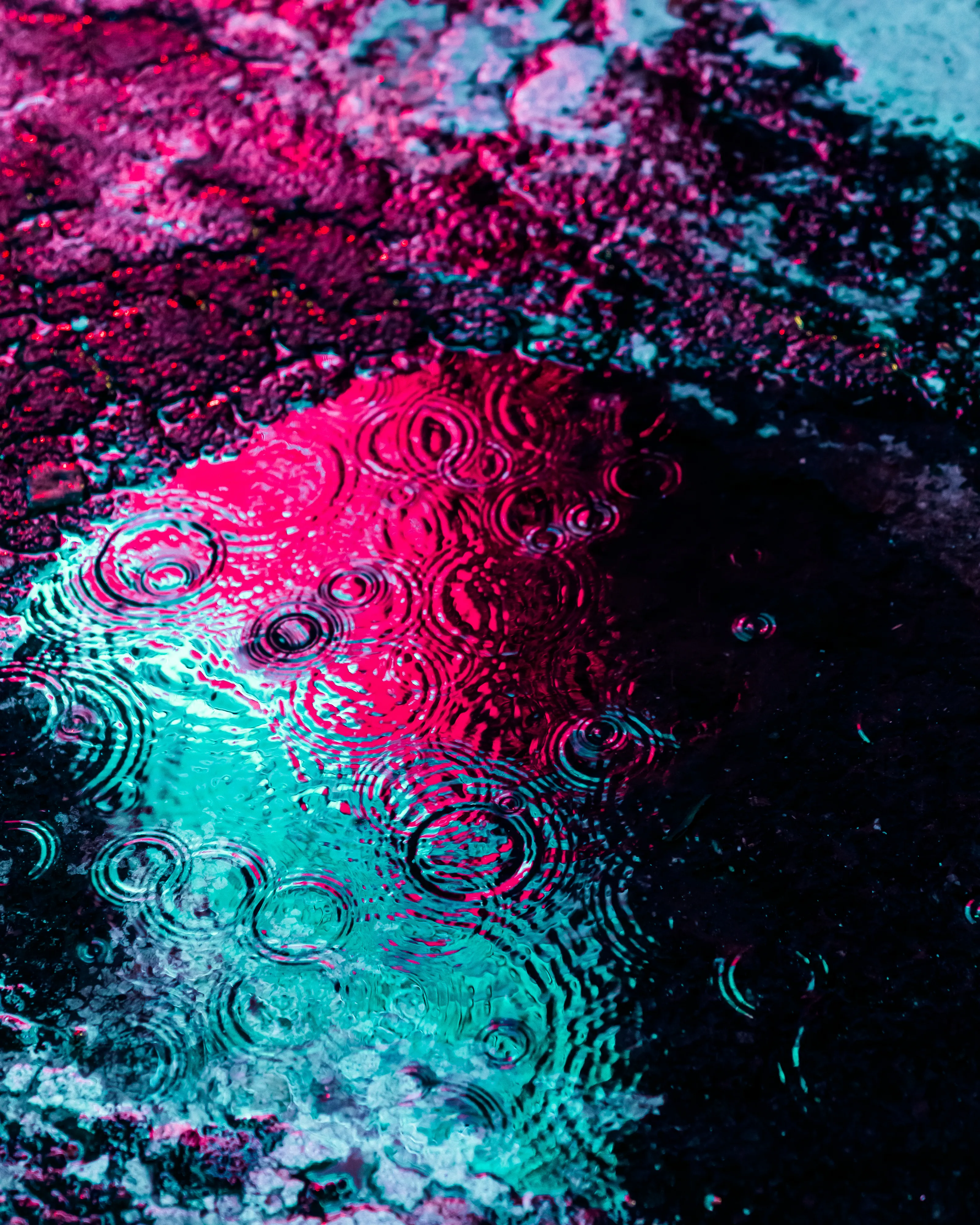 Drip Drop is an ode to the generative beauty of a universe unwinding. 1111 1/1 photographs of rain hitting puddles in Times Square, New York City. Rarity is determined by machine vision detecting a wide range of variables.