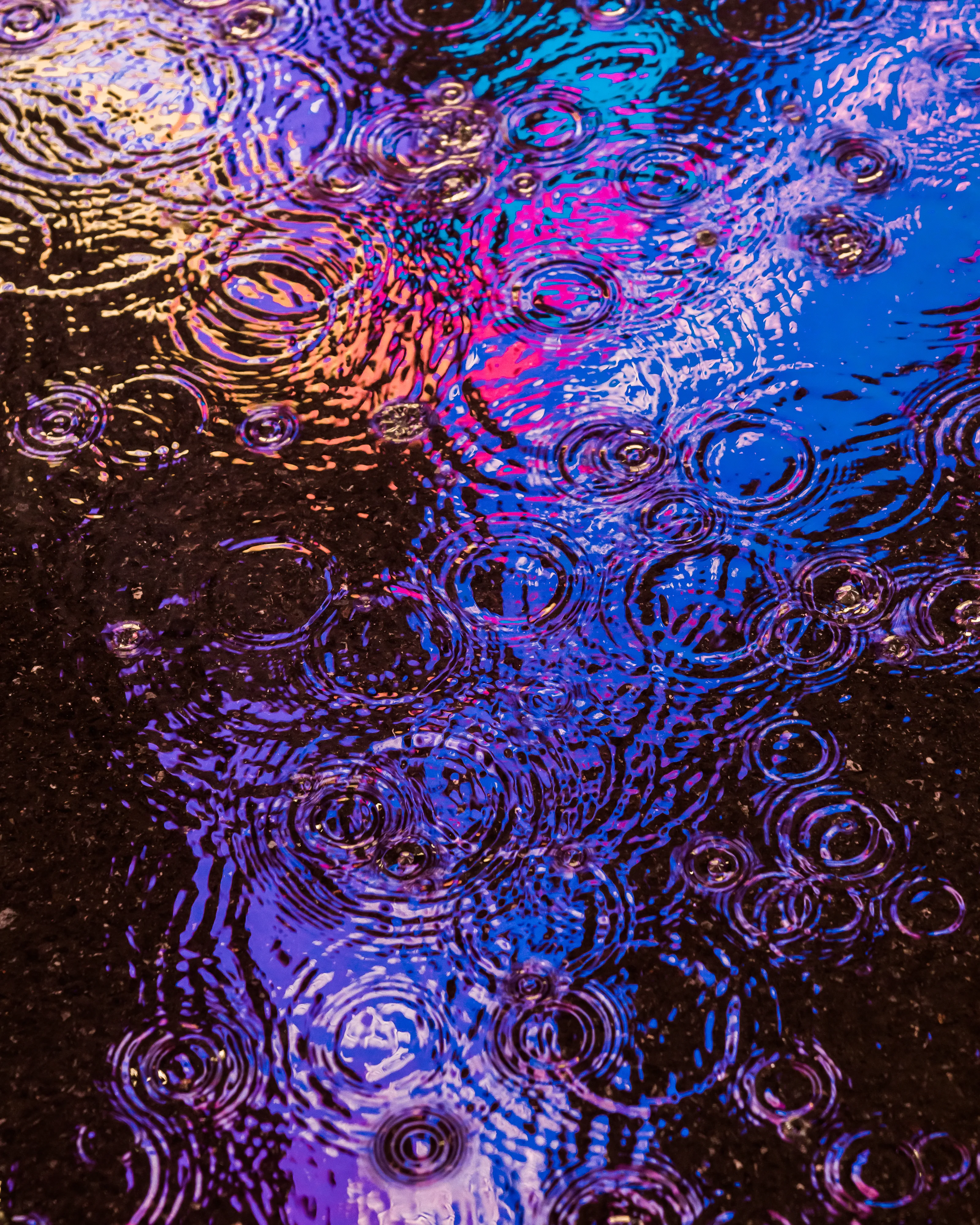 Drip Drop is an ode to the generative beauty of a universe unwinding. 1111 1/1 photographs of rain hitting puddles in Times Square, New York City. Rarity is determined by machine vision detecting a wide range of variables.