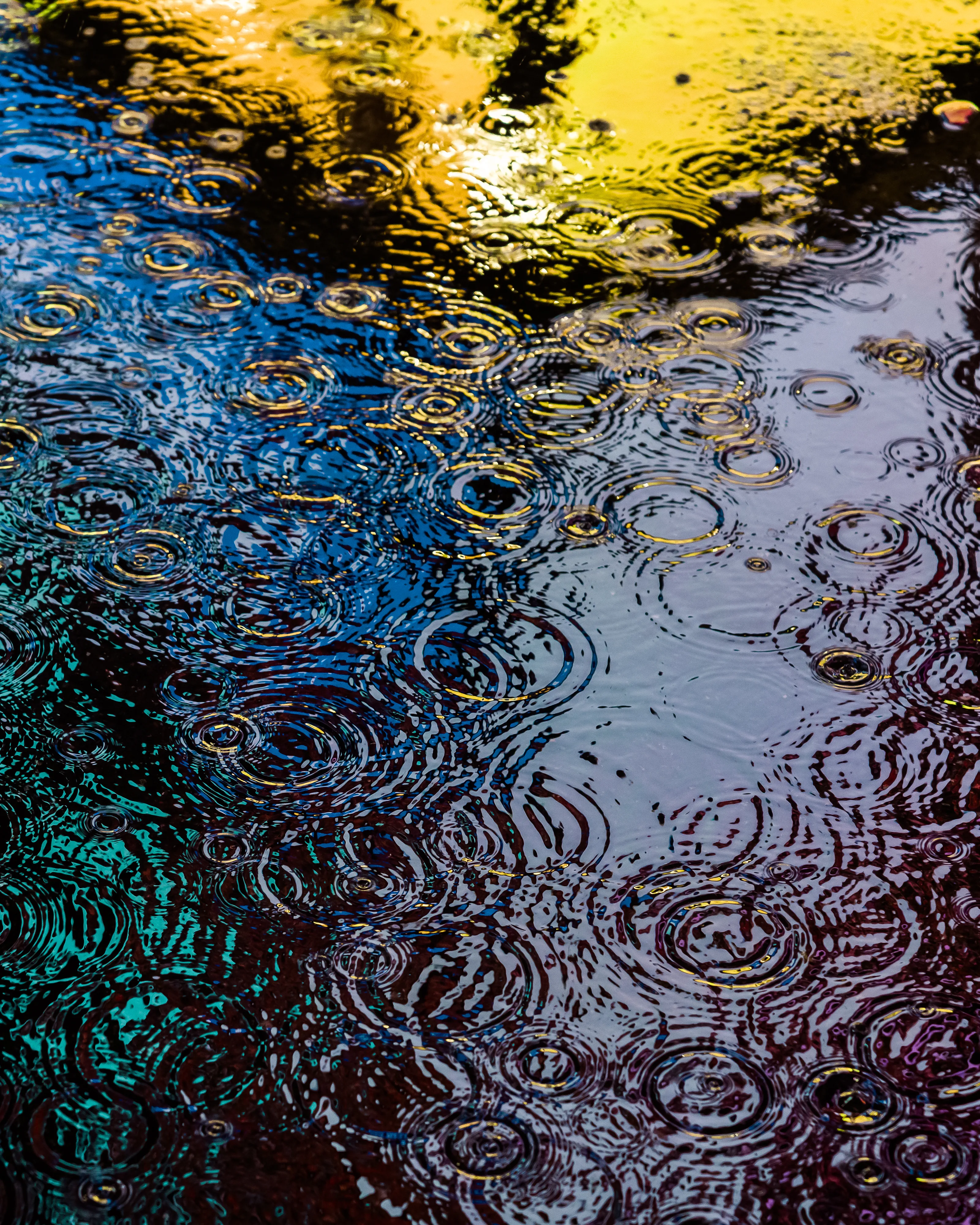 Drip Drop is an ode to the generative beauty of a universe unwinding. 1111 1/1 photographs of rain hitting puddles in Times Square, New York City. Rarity is determined by machine vision detecting a wide range of variables.