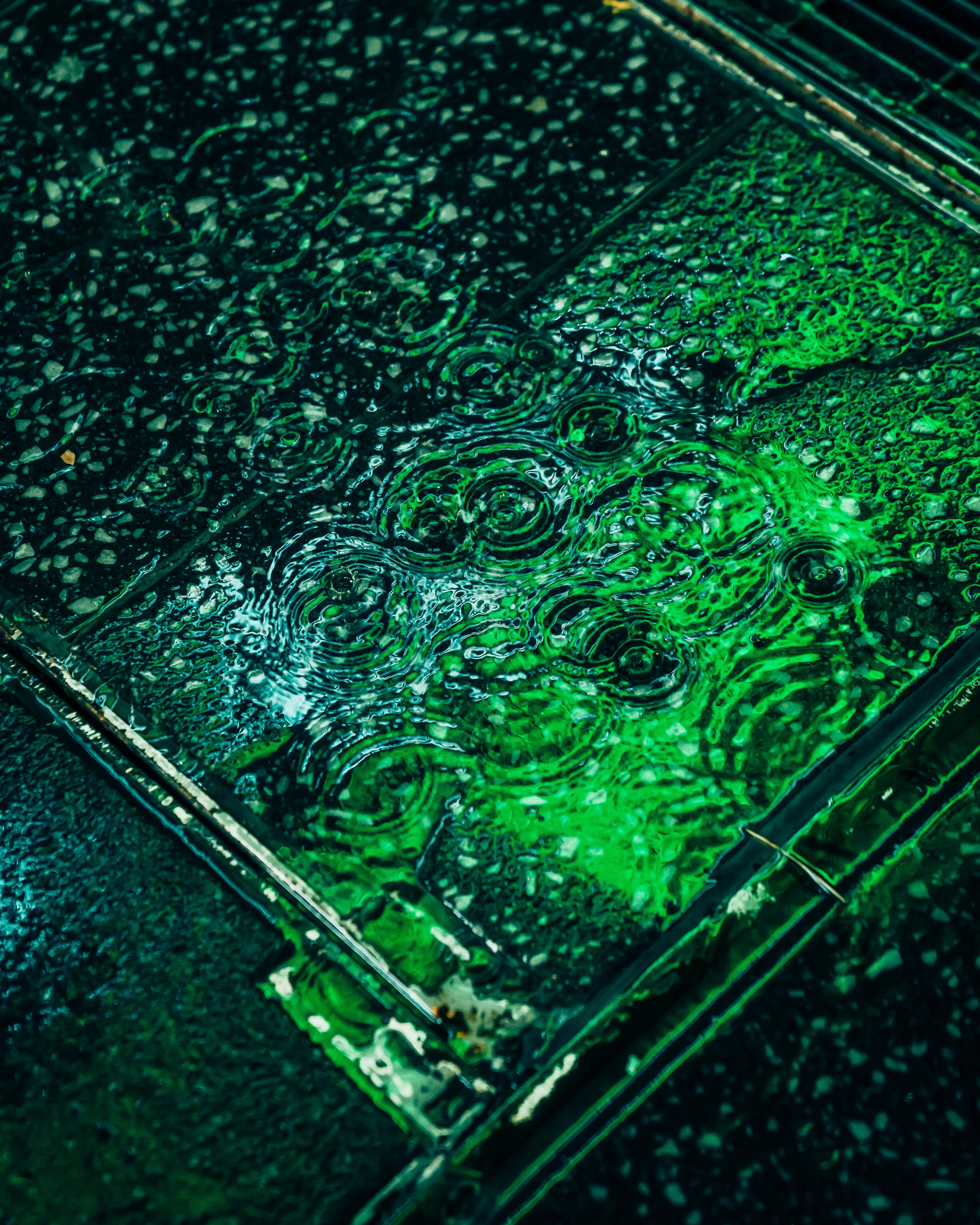 Drip Drop is an ode to the generative beauty of a universe unwinding. 1111 1/1 photographs of rain hitting puddles in Times Square, New York City. Rarity is determined by machine vision detecting a wide range of variables.