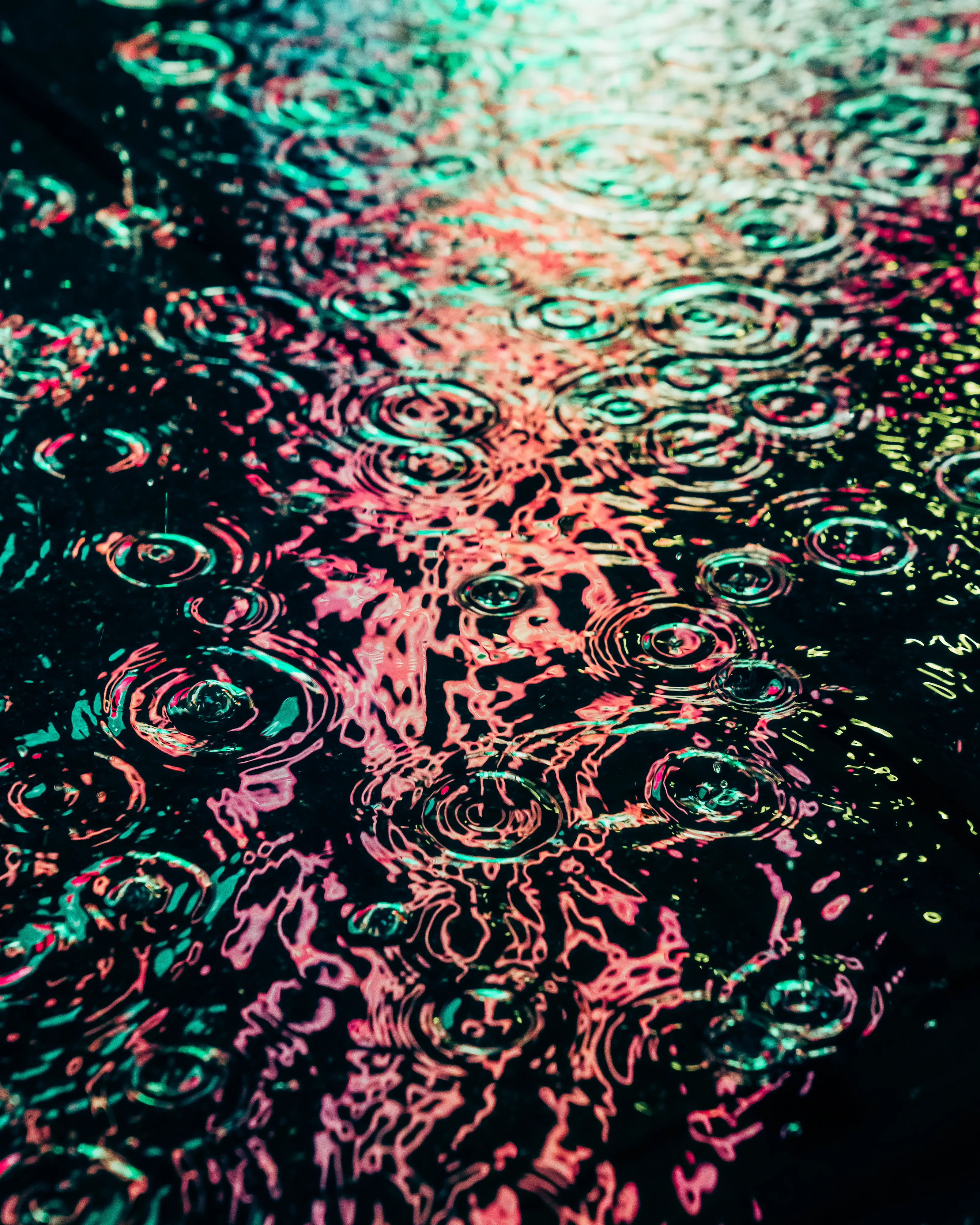 Drip Drop is an ode to the generative beauty of a universe unwinding. 1111 1/1 photographs of rain hitting puddles in Times Square, New York City. Rarity is determined by machine vision detecting a wide range of variables.