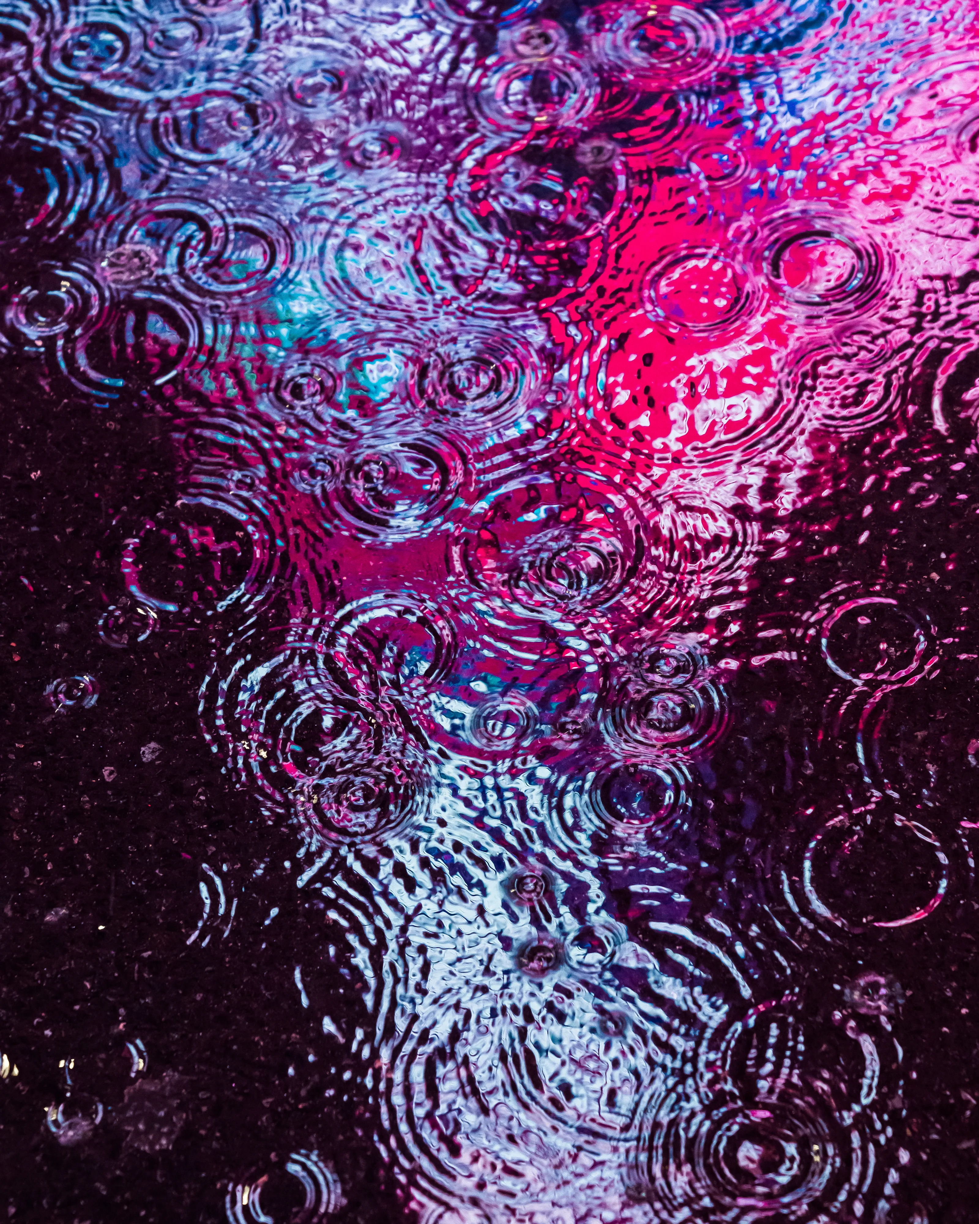 Drip Drop is an ode to the generative beauty of a universe unwinding. 1111 1/1 photographs of rain hitting puddles in Times Square, New York City. Rarity is determined by machine vision detecting a wide range of variables.