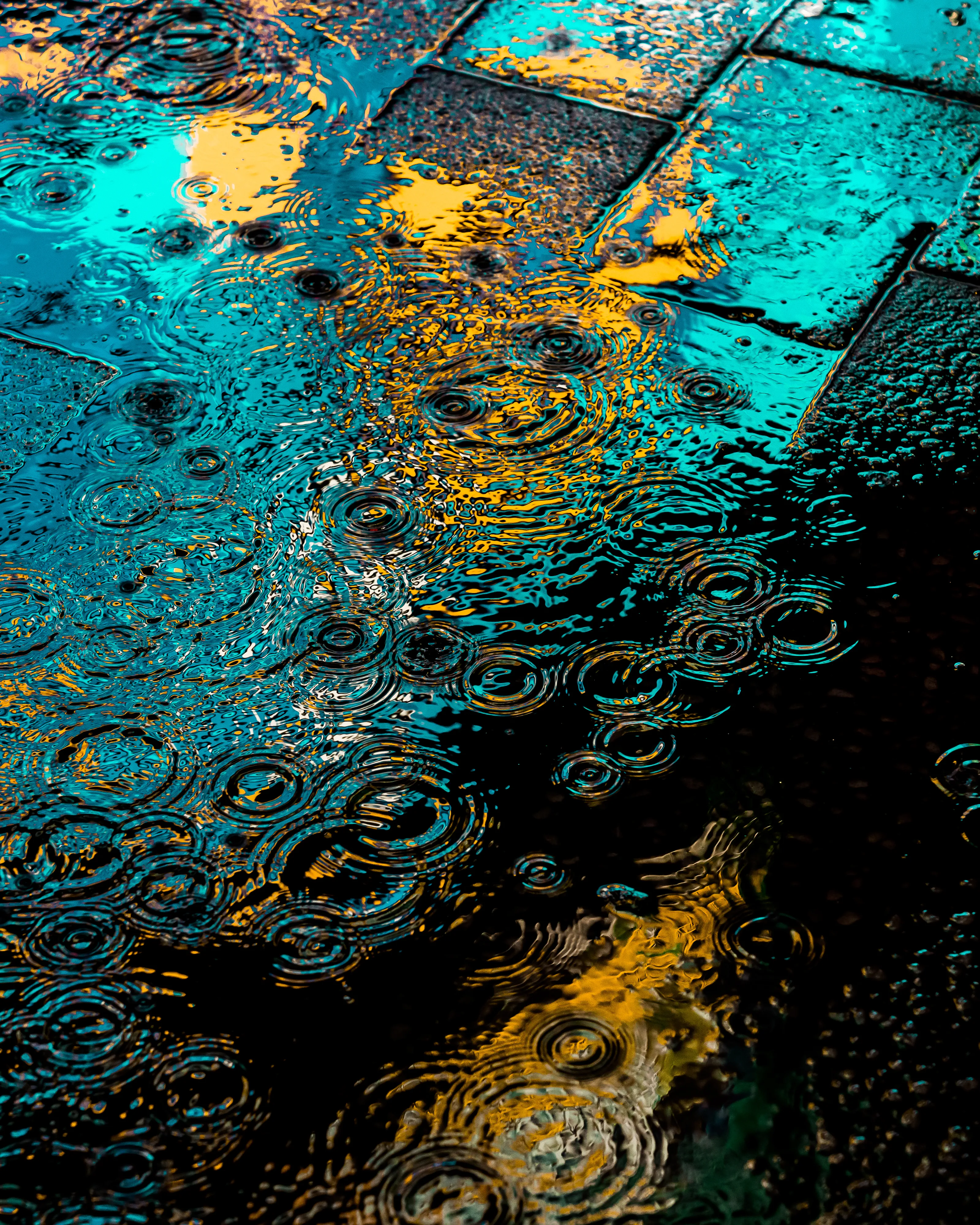 Drip Drop is an ode to the generative beauty of a universe unwinding. 1111 1/1 photographs of rain hitting puddles in Times Square, New York City. Rarity is determined by machine vision detecting a wide range of variables.