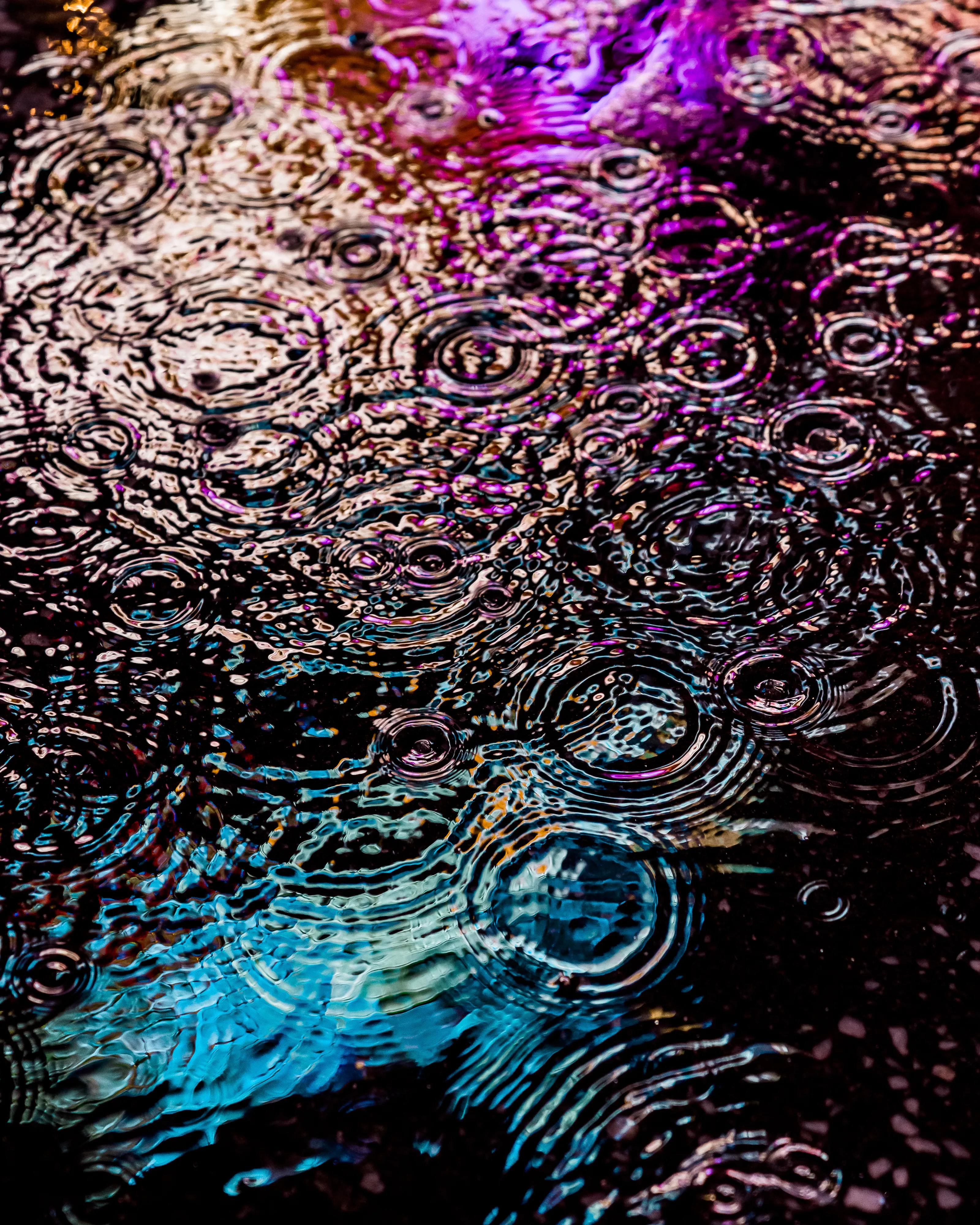 Drip Drop is an ode to the generative beauty of a universe unwinding. 1111 1/1 photographs of rain hitting puddles in Times Square, New York City. Rarity is determined by machine vision detecting a wide range of variables.