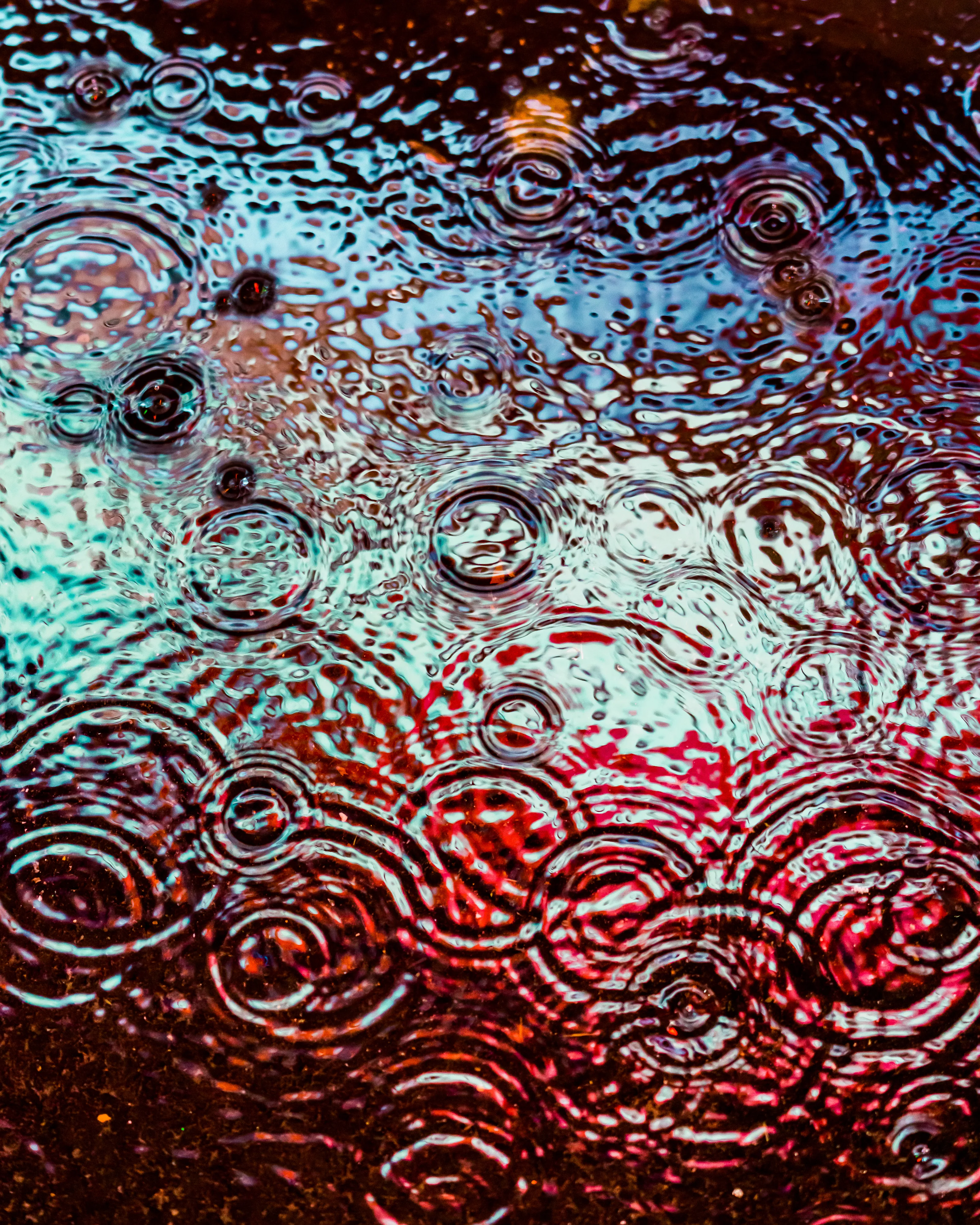 Drip Drop is an ode to the generative beauty of a universe unwinding. 1111 1/1 photographs of rain hitting puddles in Times Square, New York City. Rarity is determined by machine vision detecting a wide range of variables.