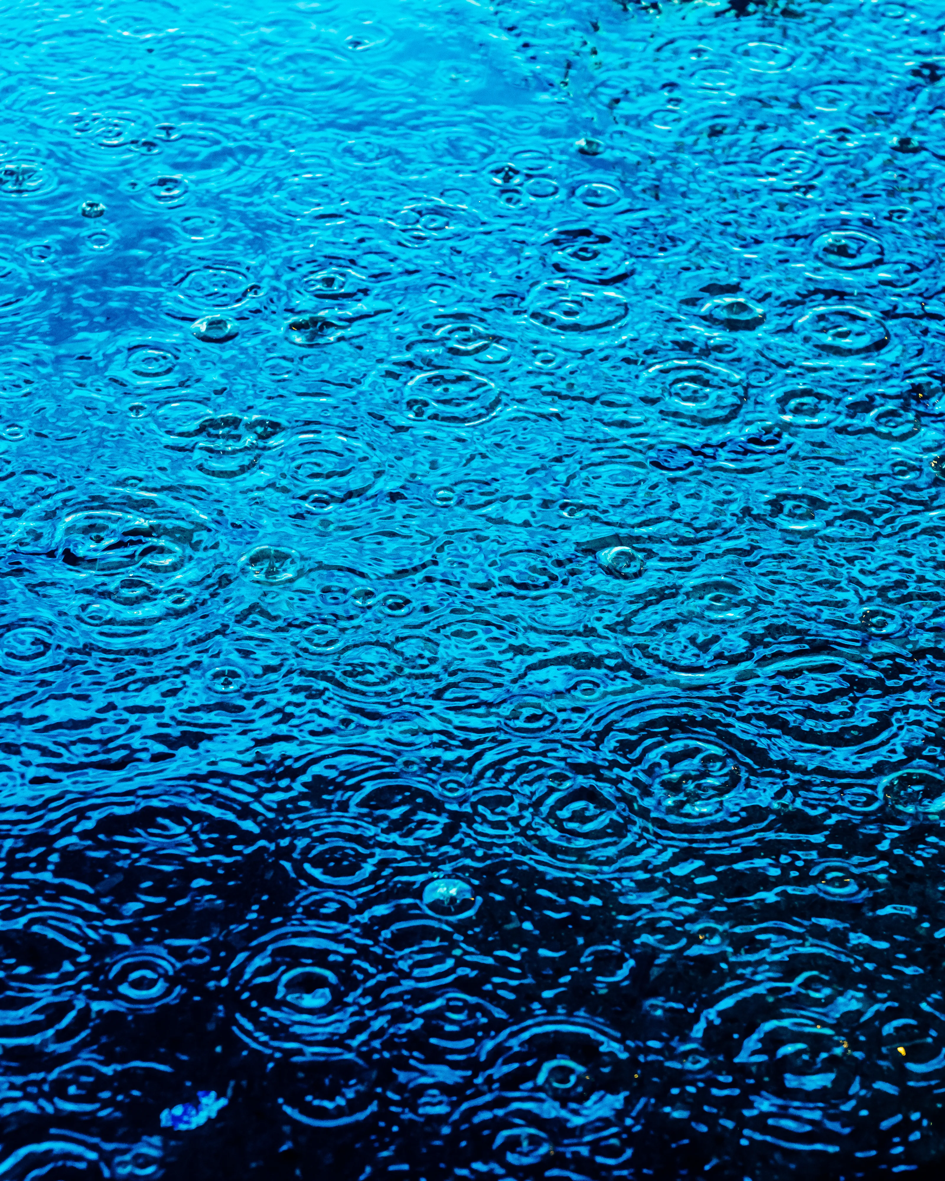 Drip Drop is an ode to the generative beauty of a universe unwinding. 1111 1/1 photographs of rain hitting puddles in Times Square, New York City. Rarity is determined by machine vision detecting a wide range of variables.