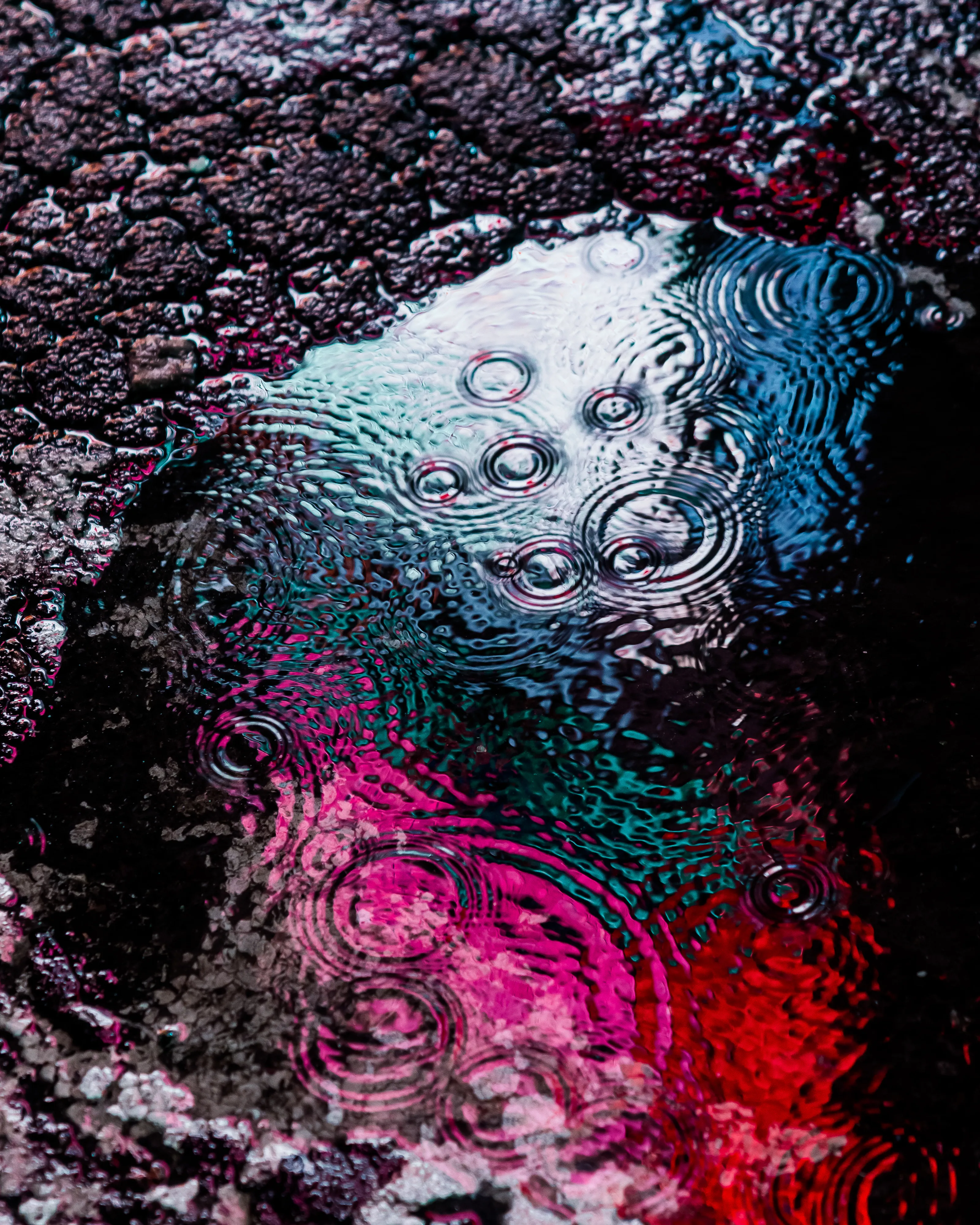 Drip Drop is an ode to the generative beauty of a universe unwinding. 1111 1/1 photographs of rain hitting puddles in Times Square, New York City. Rarity is determined by machine vision detecting a wide range of variables.