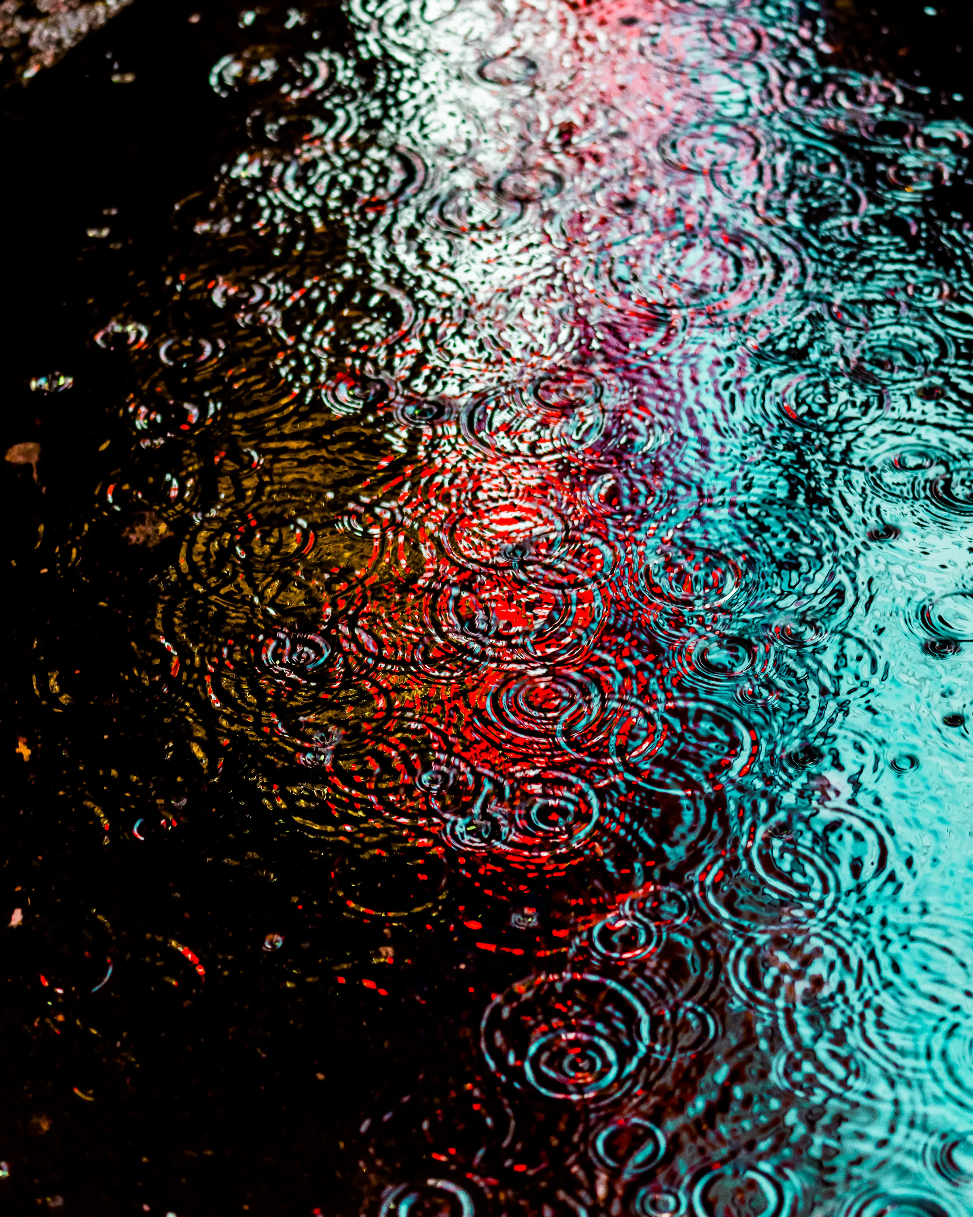 Drip Drop is an ode to the generative beauty of a universe unwinding. 1111 1/1 photographs of rain hitting puddles in Times Square, New York City. Rarity is determined by machine vision detecting a wide range of variables.