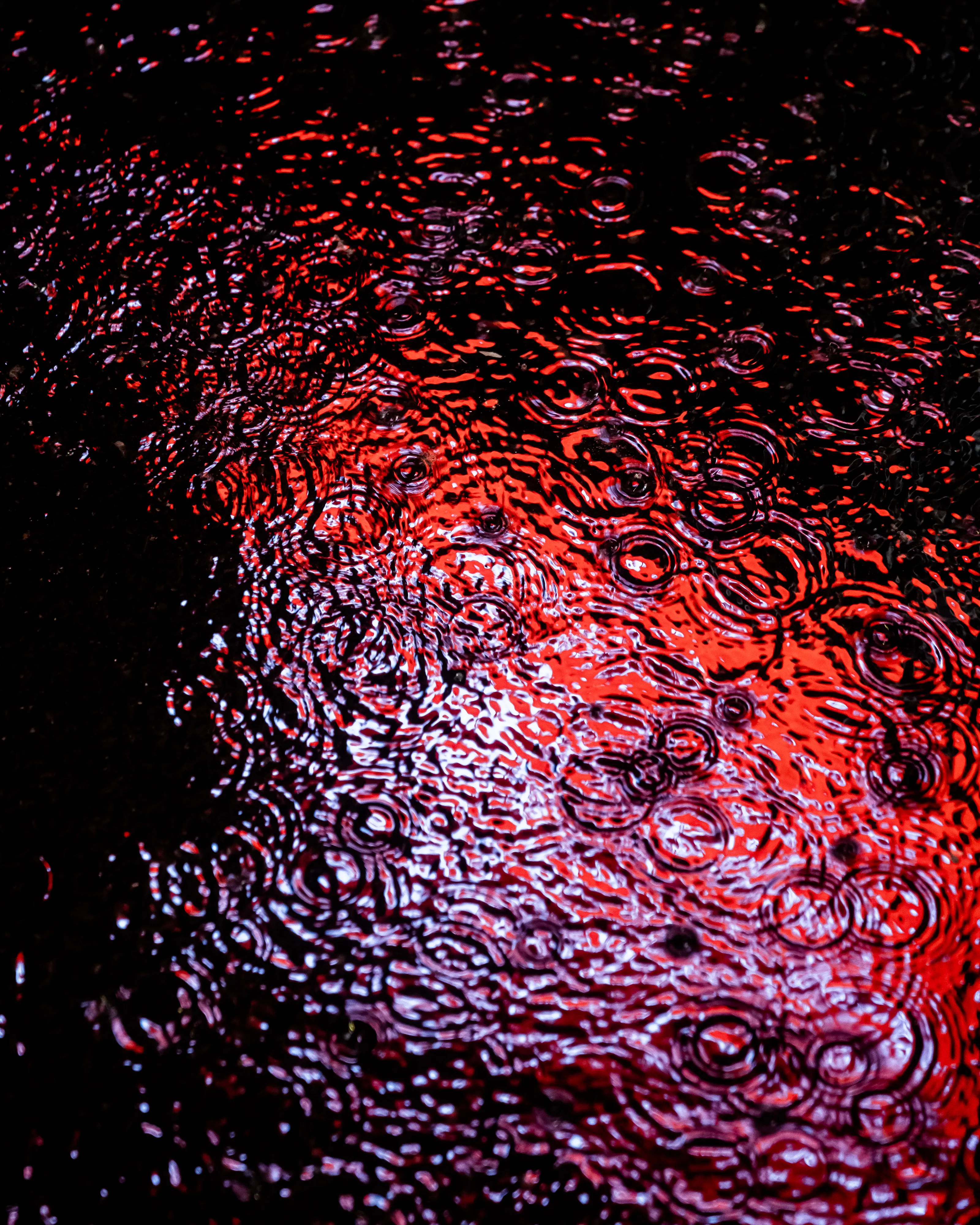 Drip Drop is an ode to the generative beauty of a universe unwinding. 1111 1/1 photographs of rain hitting puddles in Times Square, New York City. Rarity is determined by machine vision detecting a wide range of variables.