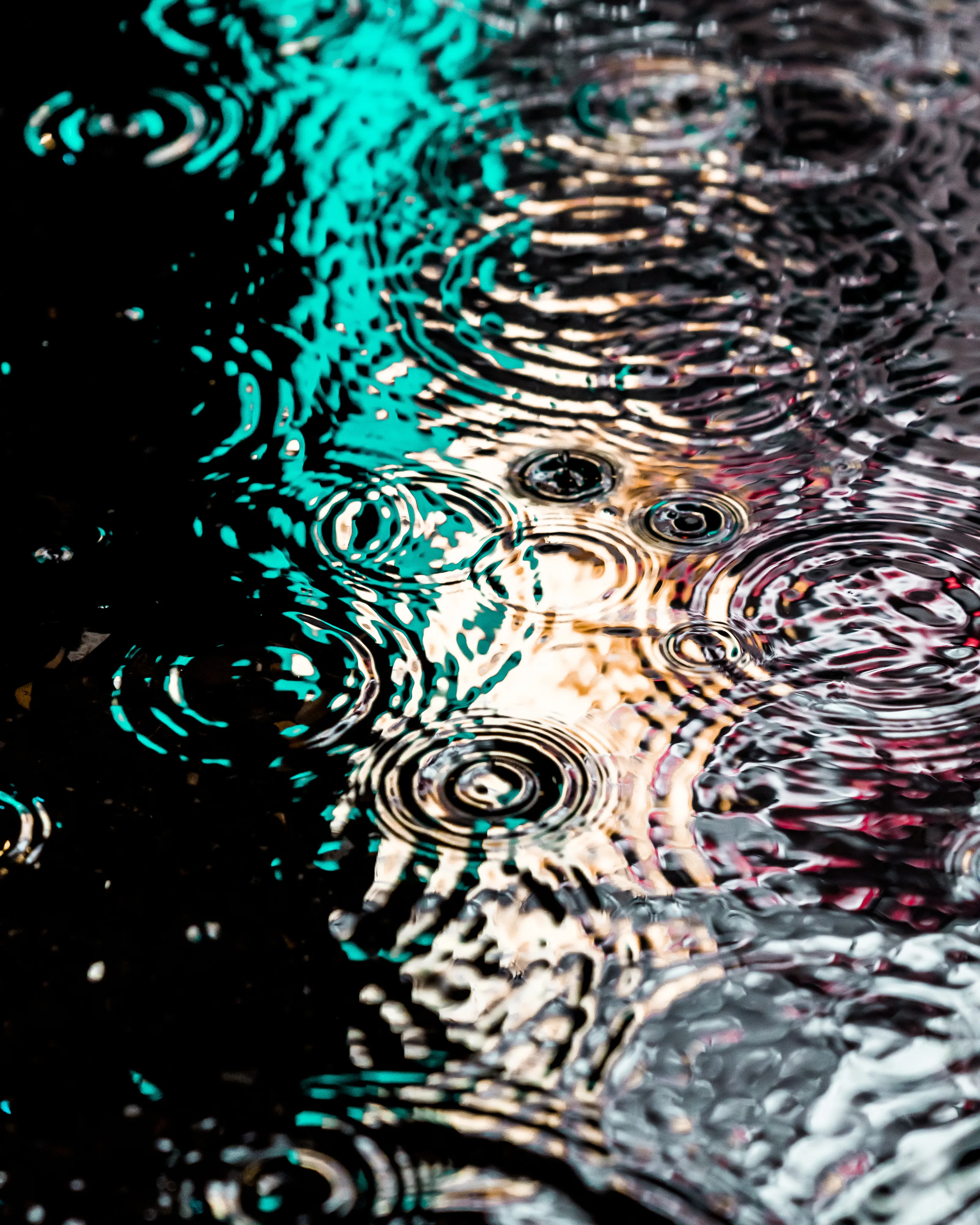 Drip Drop is an ode to the generative beauty of a universe unwinding. 1111 1/1 photographs of rain hitting puddles in Times Square, New York City. Rarity is determined by machine vision detecting a wide range of variables.